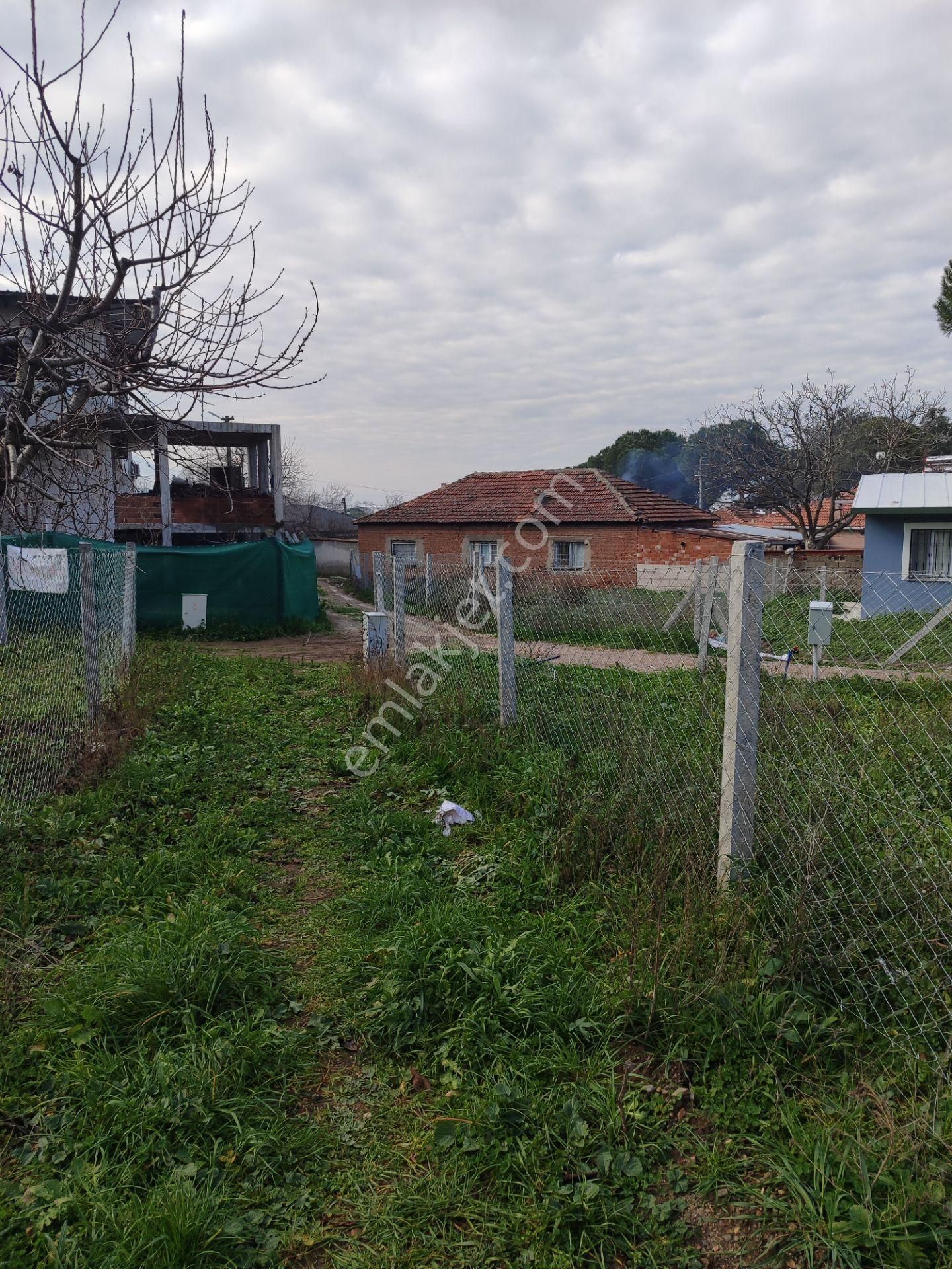 Kemalpaşa Yiğitler Köy Mahalle İçerisinde Acil Satılık Bahçe - Görsel 13