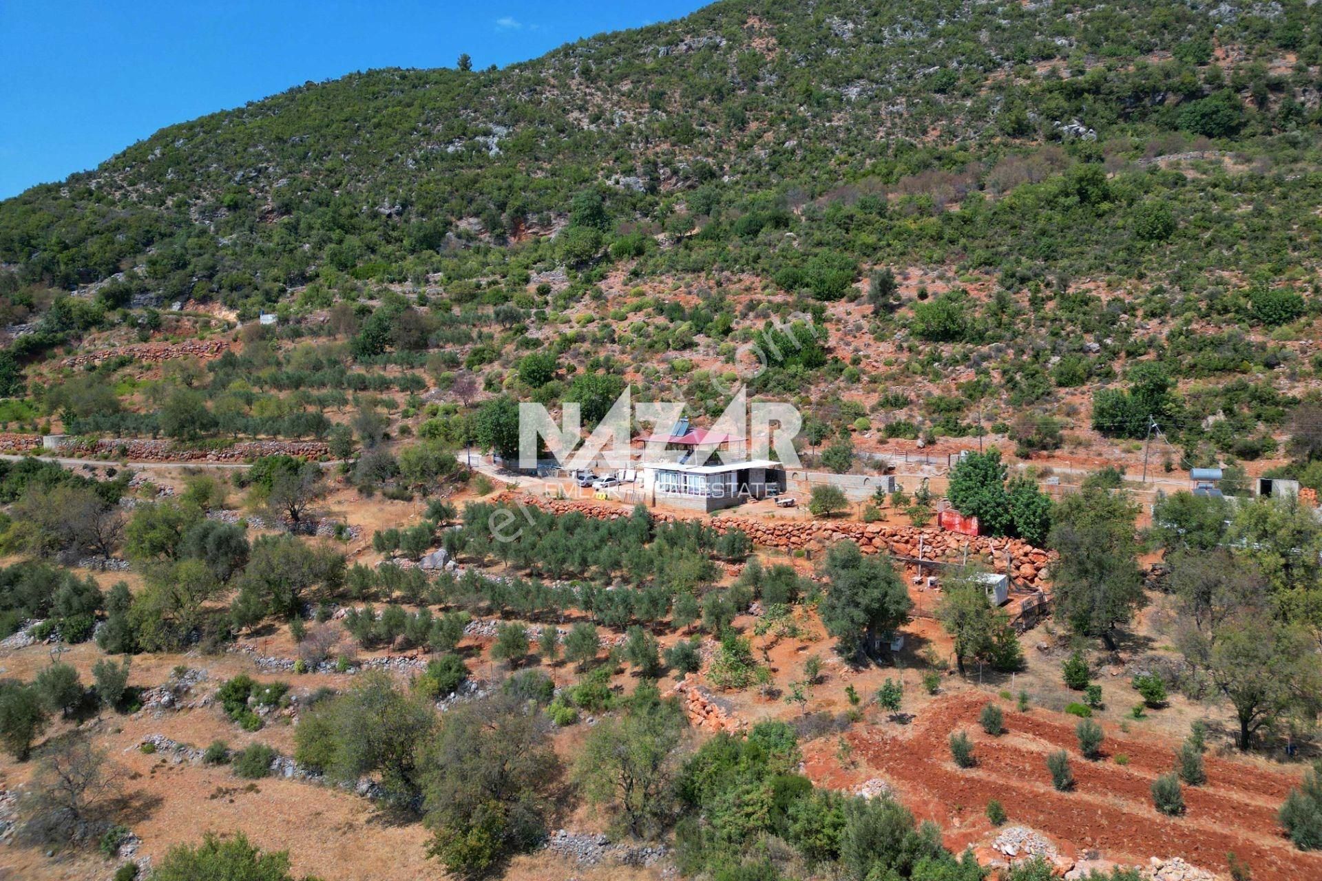 Alanya Burçaklar’da Satılık 3.579 M² Tarla Ve 1+1 Ev - Görsel 18