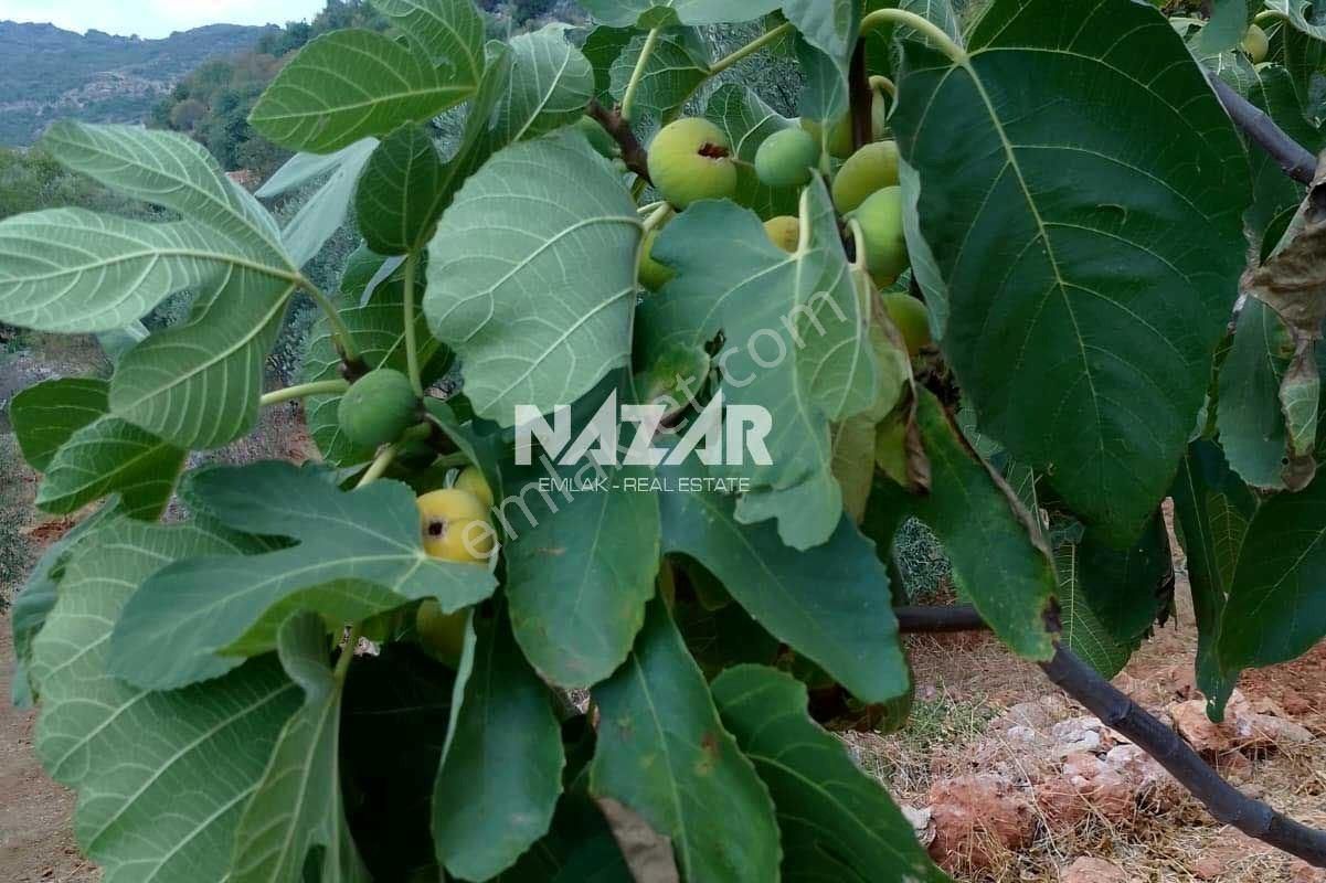 Alanya Burçaklar’da Satılık 3.579 M² Tarla Ve 1+1 Ev - Görsel 30