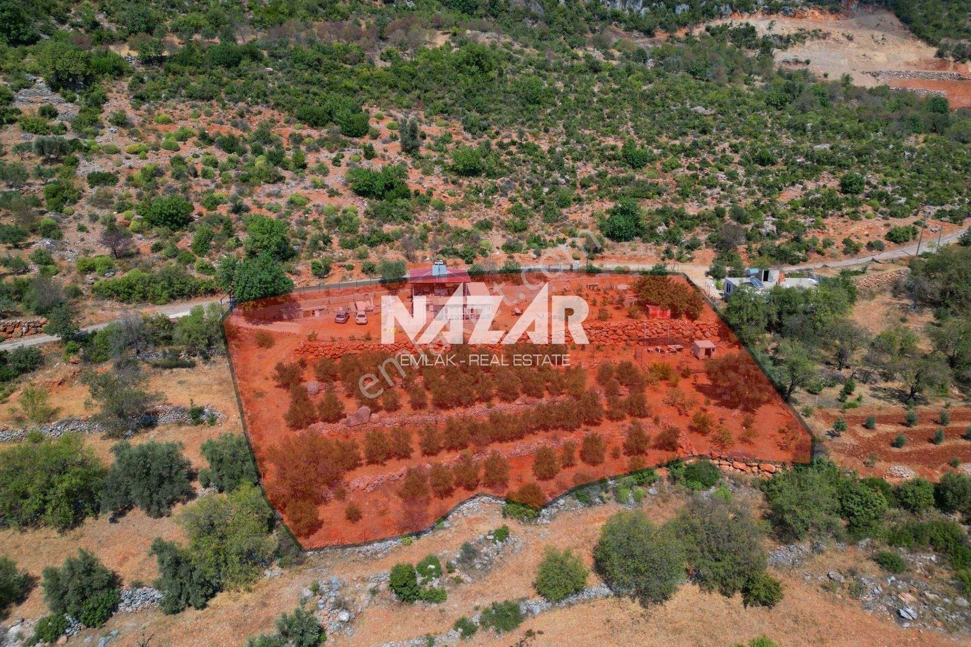 Alanya Burçaklar’da Satılık 3.579 M² Tarla Ve 1+1 Ev - Görsel 4