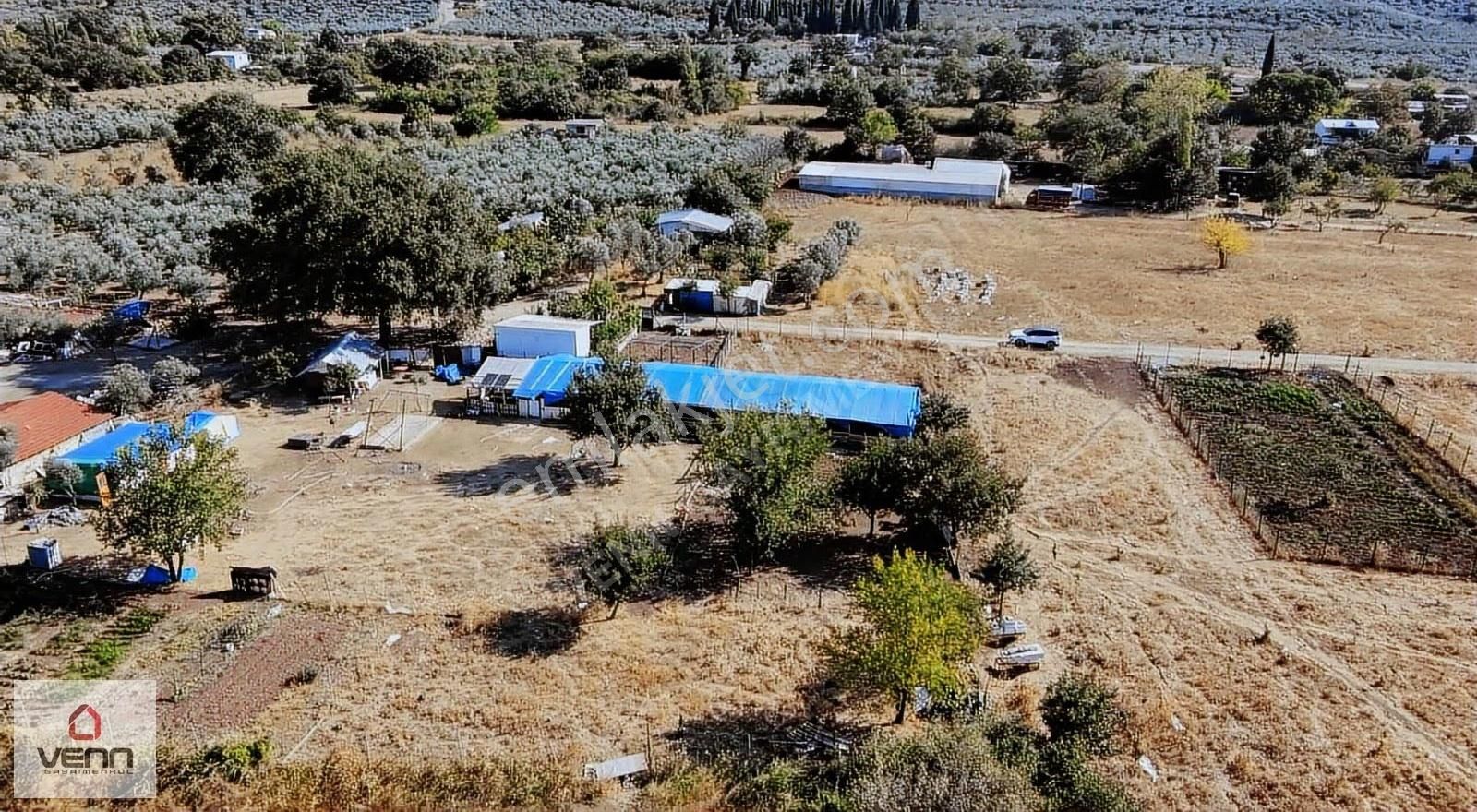 Gemlik Kumsazda 2549 M2 Satılık Tarla - Görsel 4