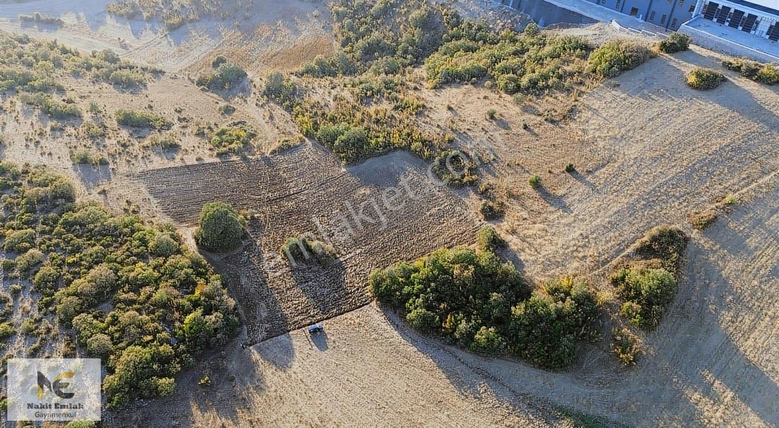 Hamzabey'de Yatırımlık 3500m2 Kupon Arazi Fırsat Nokta!!! - Görsel 6