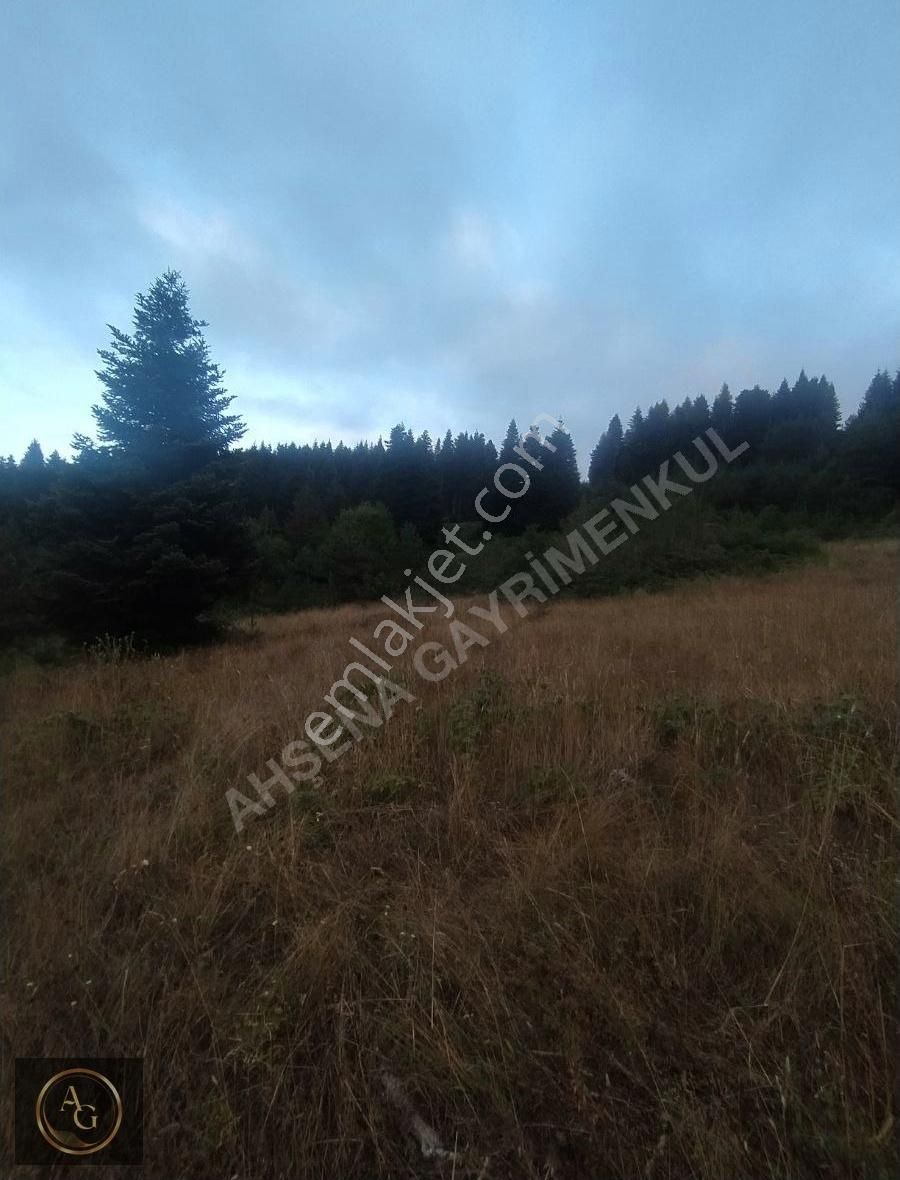 Ahşena Gayrimenkul'den Samsun Alaçam'da Yola Cephe Fırsat Arazi - Görsel 4