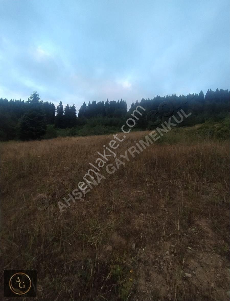 Ahşena Gayrimenkul'den Samsun Alaçam'da Yola Cephe Fırsat Arazi - Görsel 2