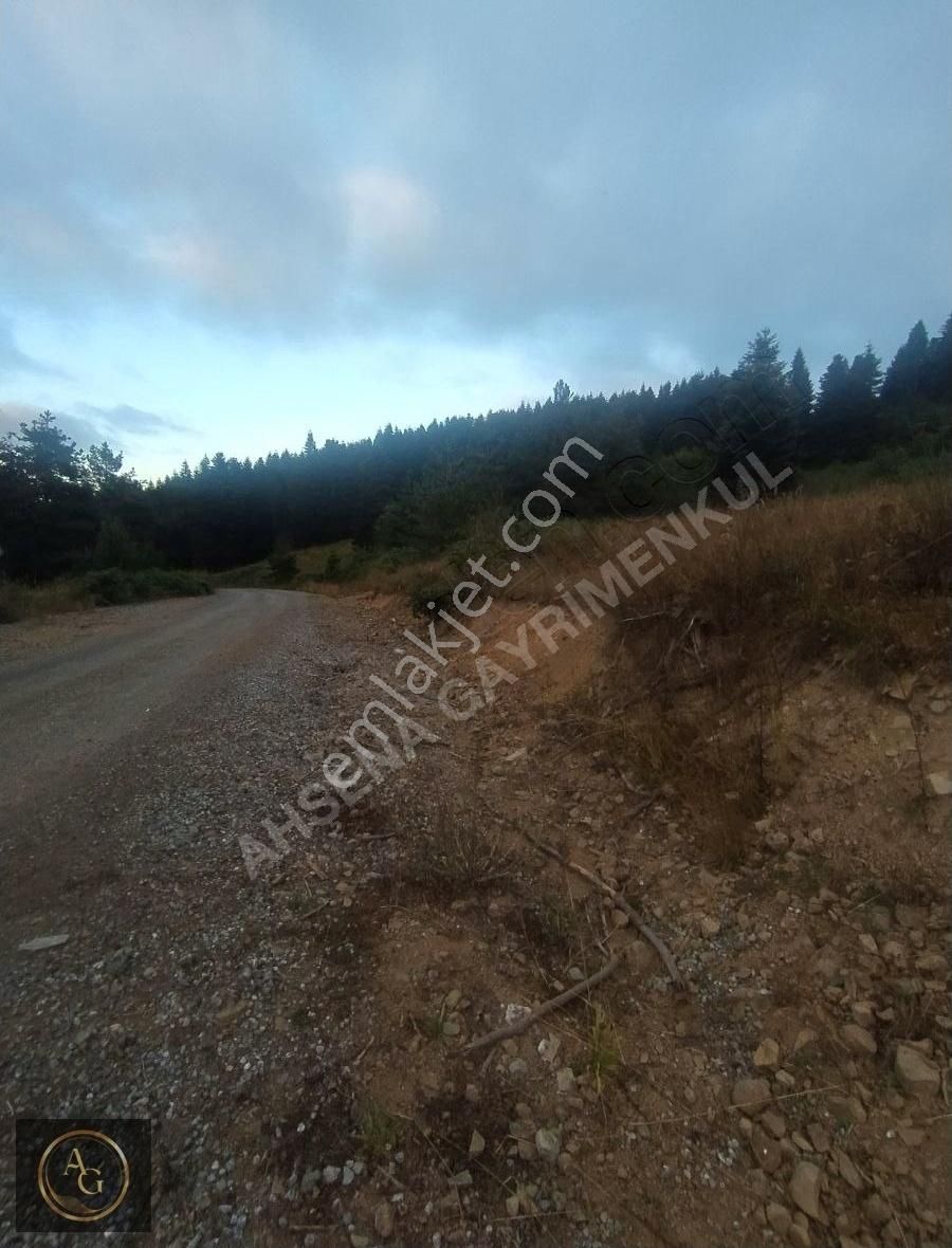 Ahşena Gayrimenkul'den Samsun Alaçam'da Yola Cephe Fırsat Arazi - Görsel 7