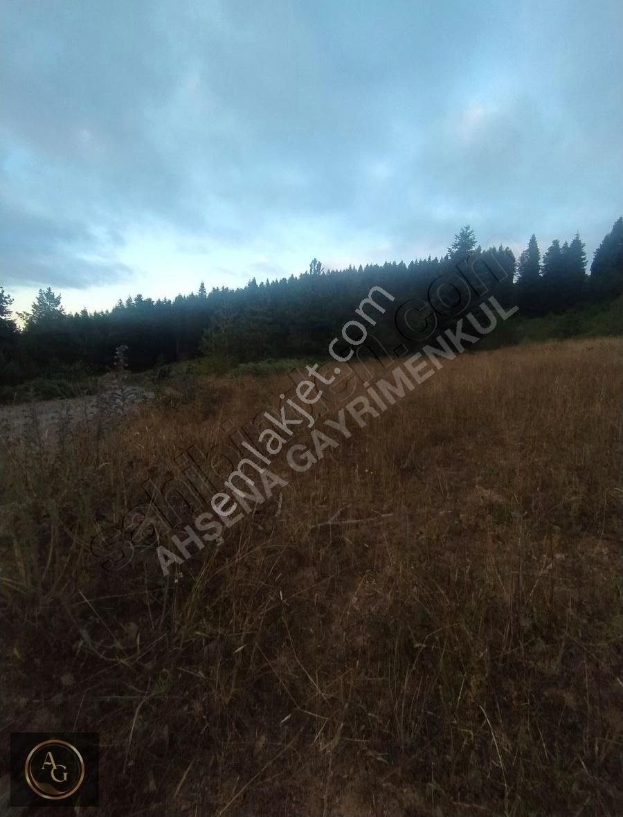 Ahşena Gayrimenkul'den Samsun Alaçam'da Yola Cephe Fırsat Arazi - Görsel 14