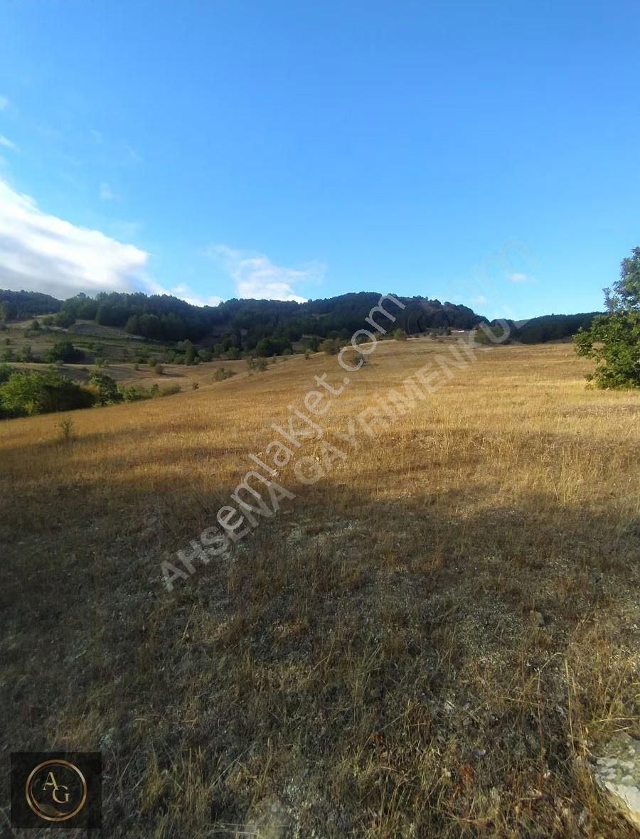 Ahşena'dan Samsun Bafra'da Yatırıma Uygun 7675 M2 Satılık Arazi - Görsel 13