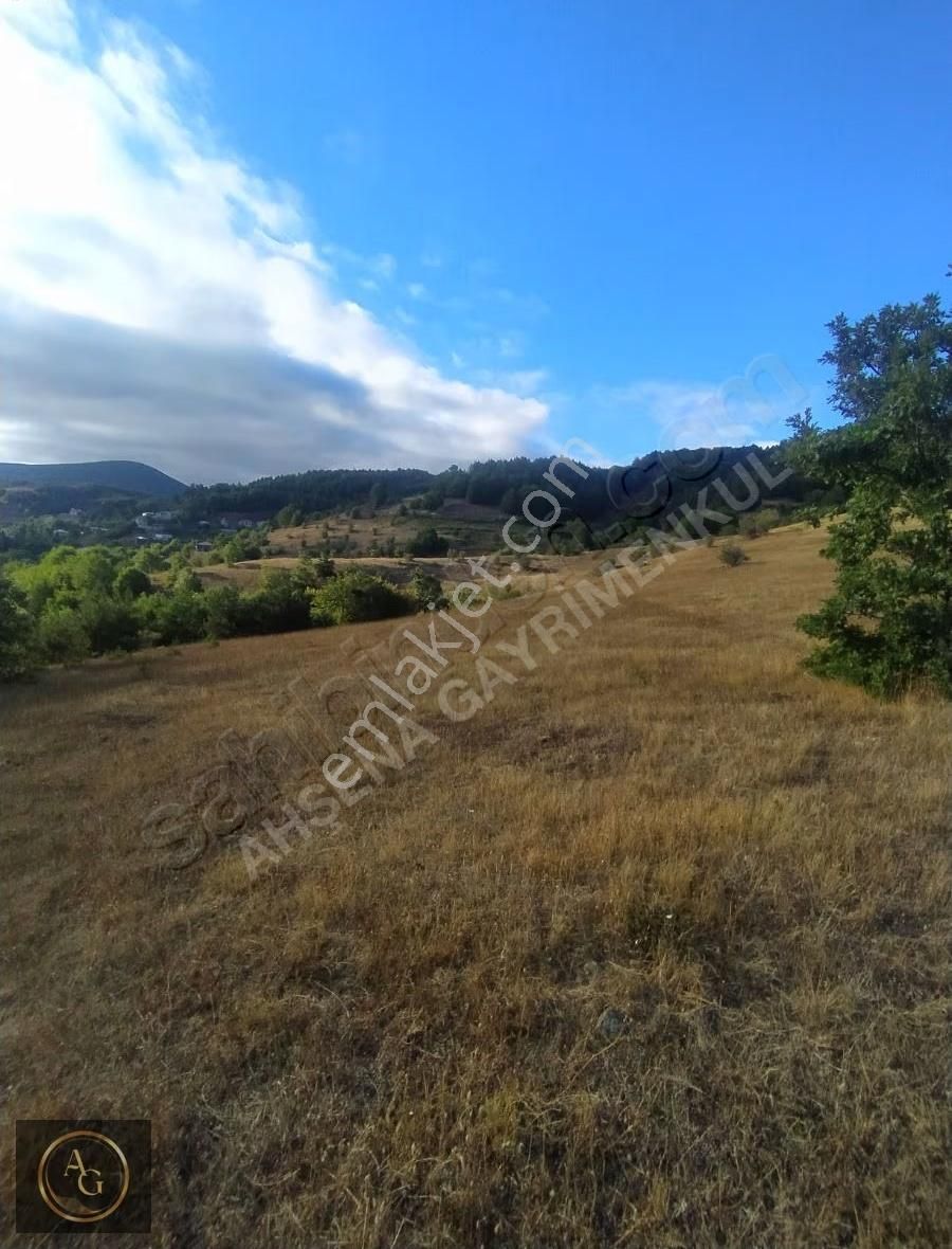 Ahşena'dan Samsun Bafra'da Yatırıma Uygun 7675 M2 Satılık Arazi - Görsel 8