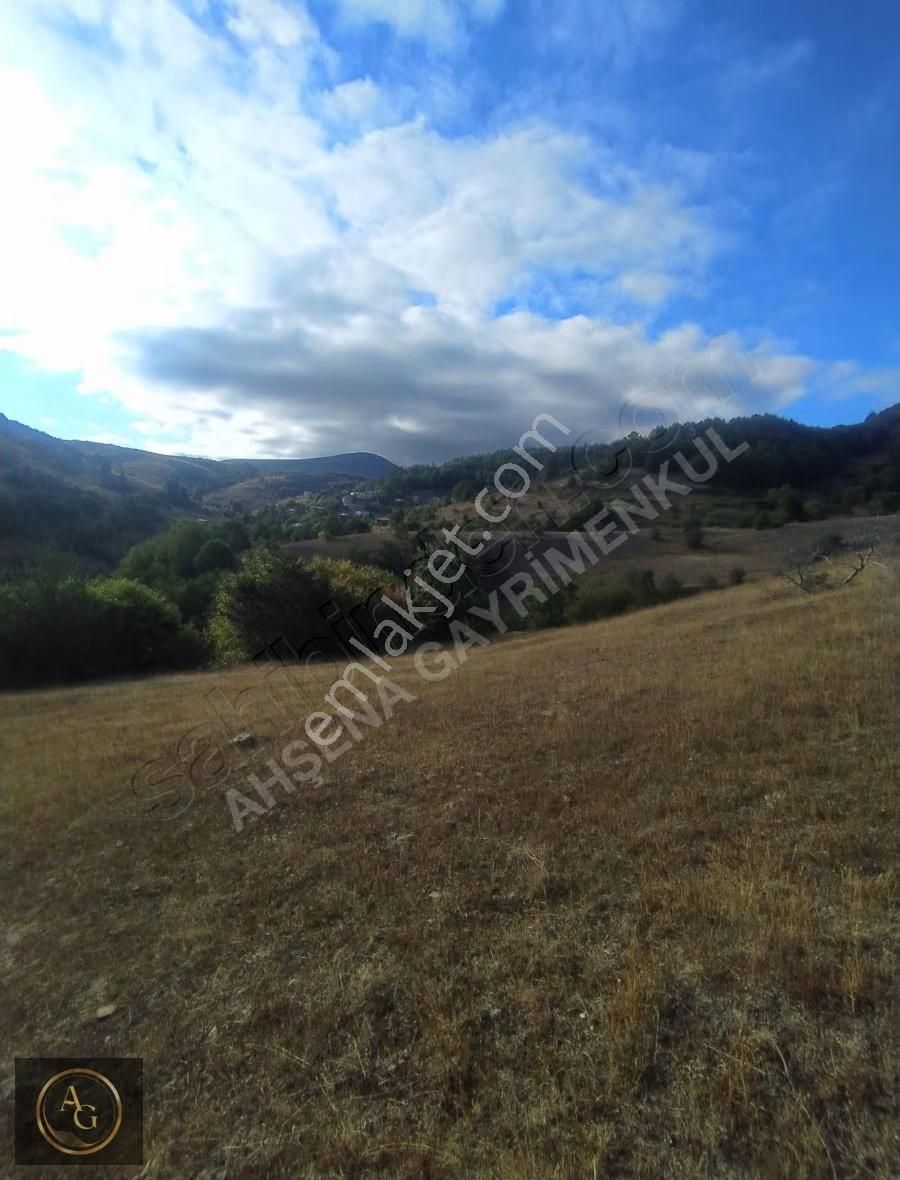 Ahşena'dan Samsun Bafra'da Yatırıma Uygun 7675 M2 Satılık Arazi - Görsel 11