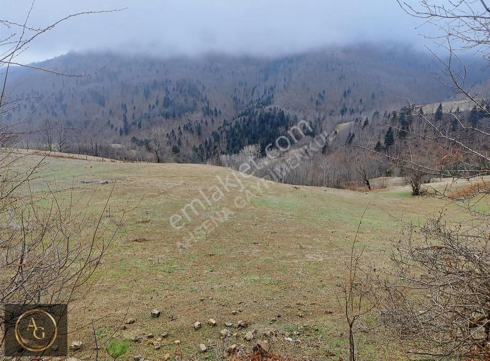 Ahşena'dan Alaçam'da Ev Yapımına Uygun 3520 M2 Satılık Arazi - Görsel 12