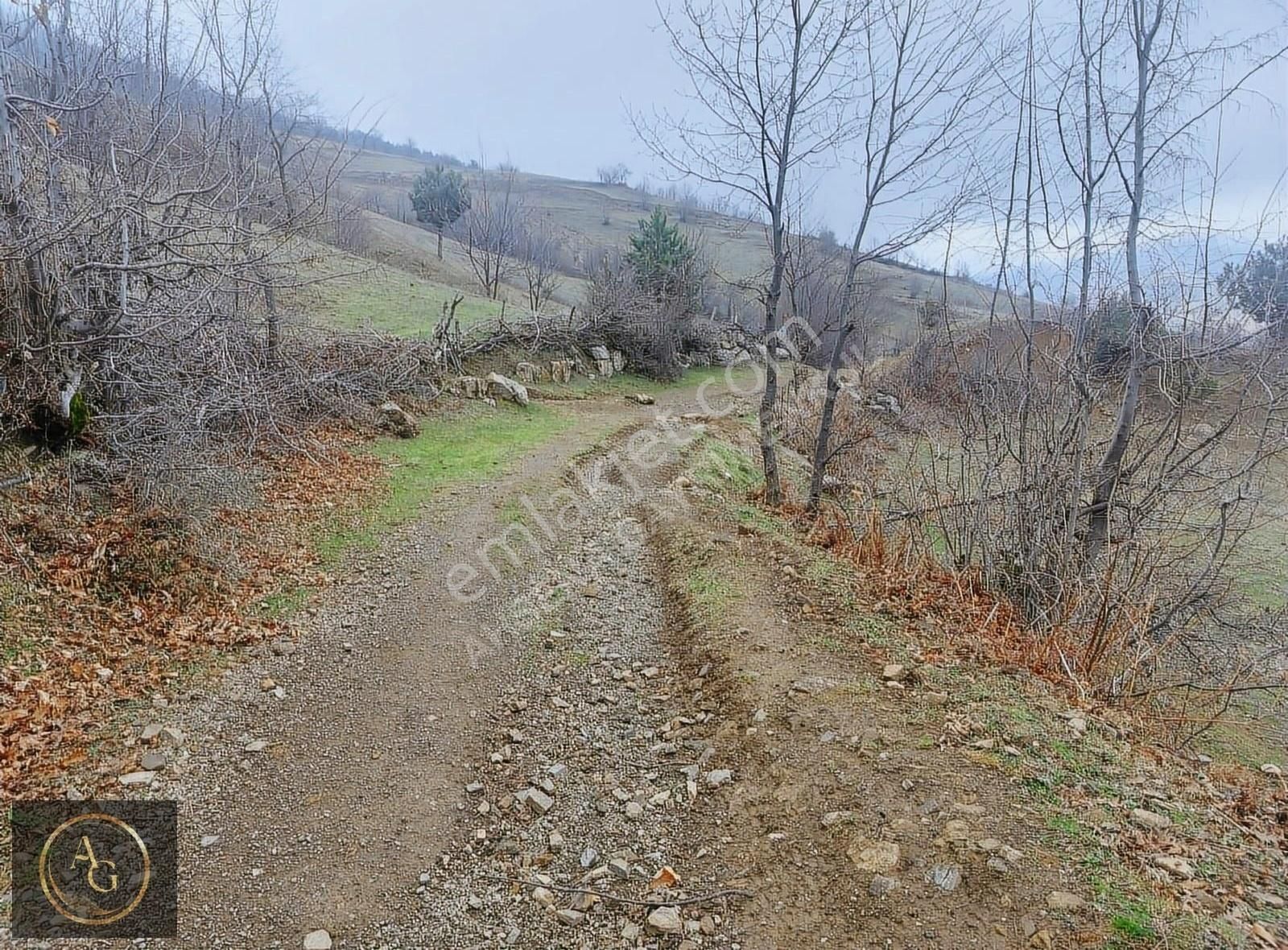 Ahşena'dan Alaçam'da Ev Yapımına Uygun 3520 M2 Satılık Arazi - Görsel 11