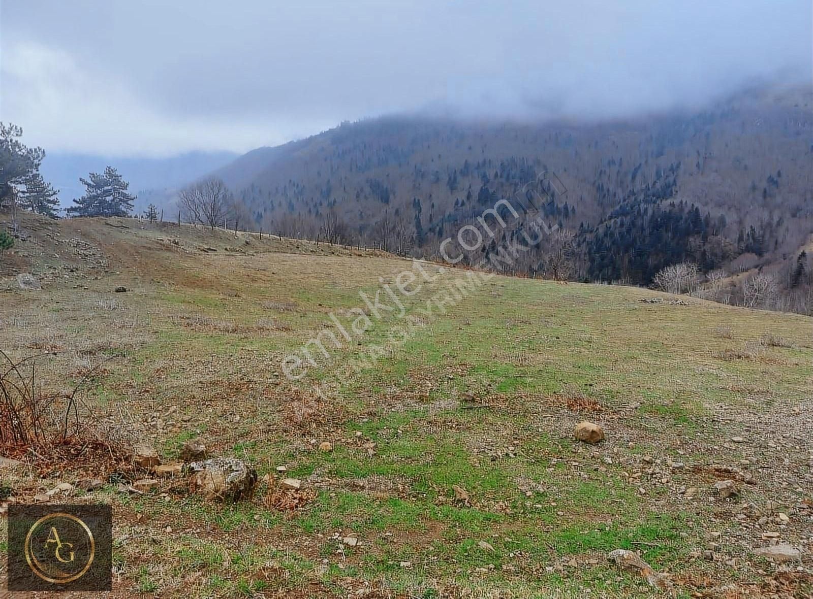 Ahşena'dan Alaçam'da Ev Yapımına Uygun 3520 M2 Satılık Arazi - Görsel 6