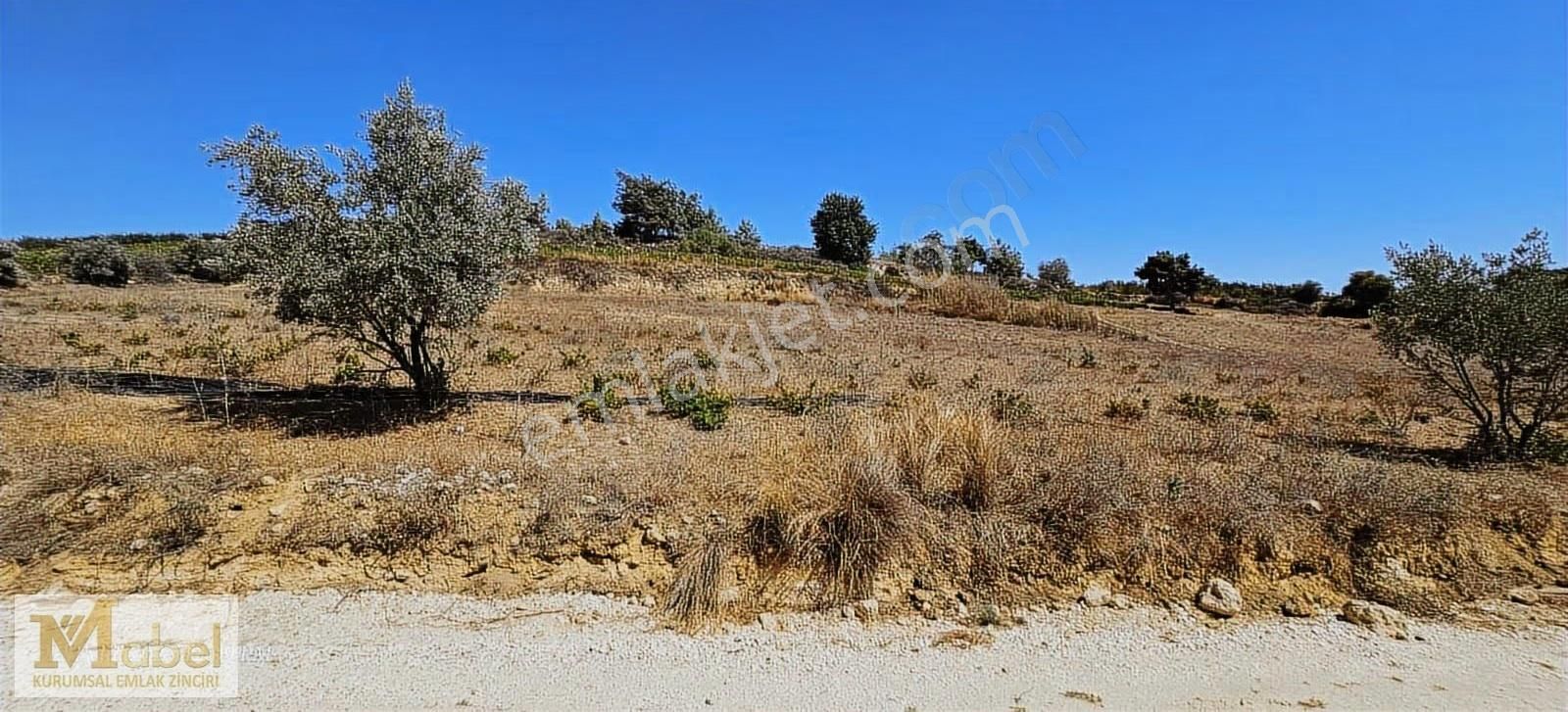 Mabel Den İbrişim De Satlık Yol Üzeri Tarla