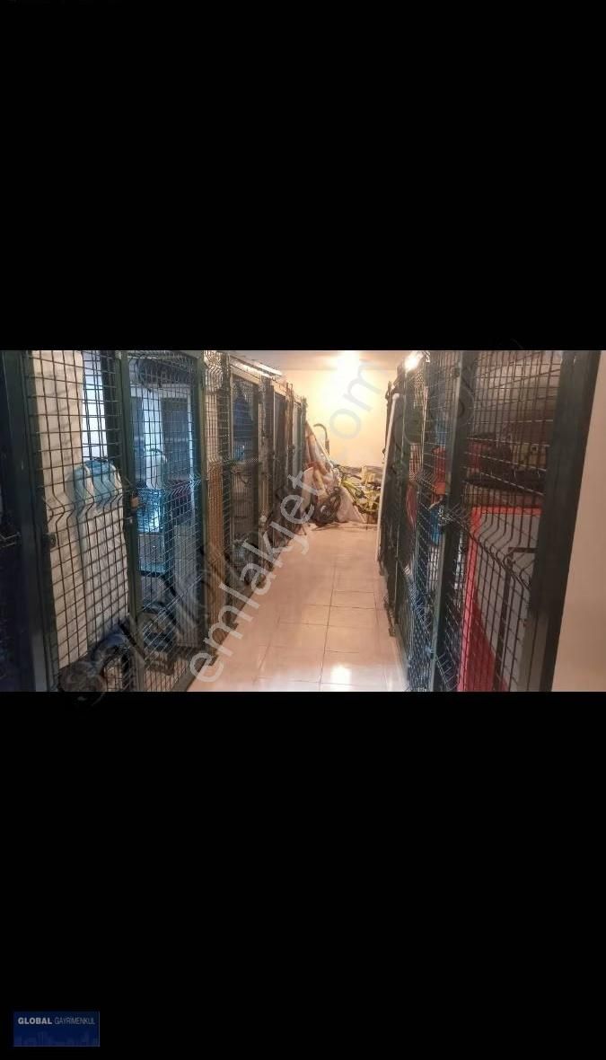 Global'den Yayla Mah'de, 245 M2 Net, 5+2 Dubleks Daire - Görsel 20