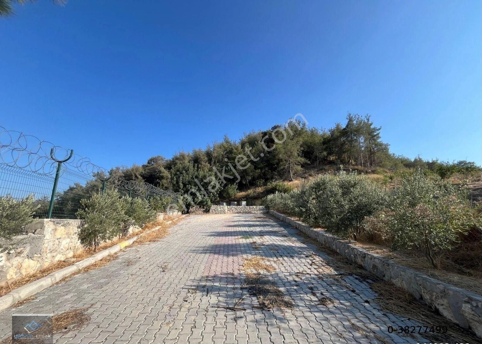 Yıldırım Gayrimenkul'den Camili'de Yola Yakın Masrafsız Arsa - Görsel 4