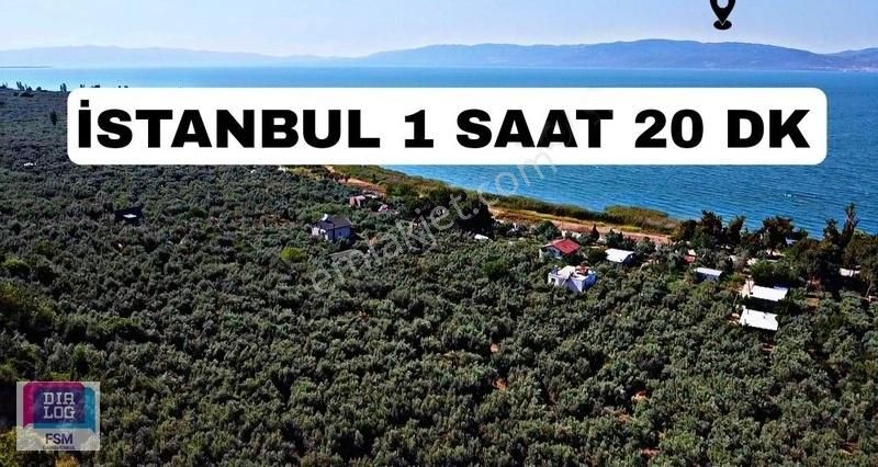 Bursa İznik Mustafalı Köyünde Göle Yakın Ulaşımı Kolay Zeytinlik - Görsel 21