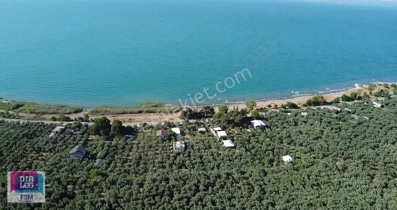 Bursa İznik Mustafalı Köyünde Göle Yakın Ulaşımı Kolay Zeytinlik - Görsel 31