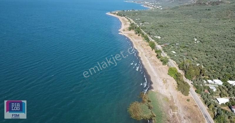 Bursa İznik Mustafalı Köyünde Göle Yakın Ulaşımı Kolay Zeytinlik - Görsel 29