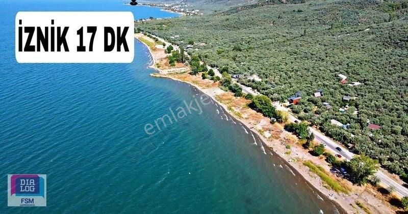 Bursa İznik Mustafalı Köyünde Göle Yakın Ulaşımı Kolay Zeytinlik - Görsel 32