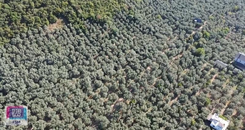 Bursa İznik Mustafalı Köyünde Göle Yakın Ulaşımı Kolay Zeytinlik - Görsel 20