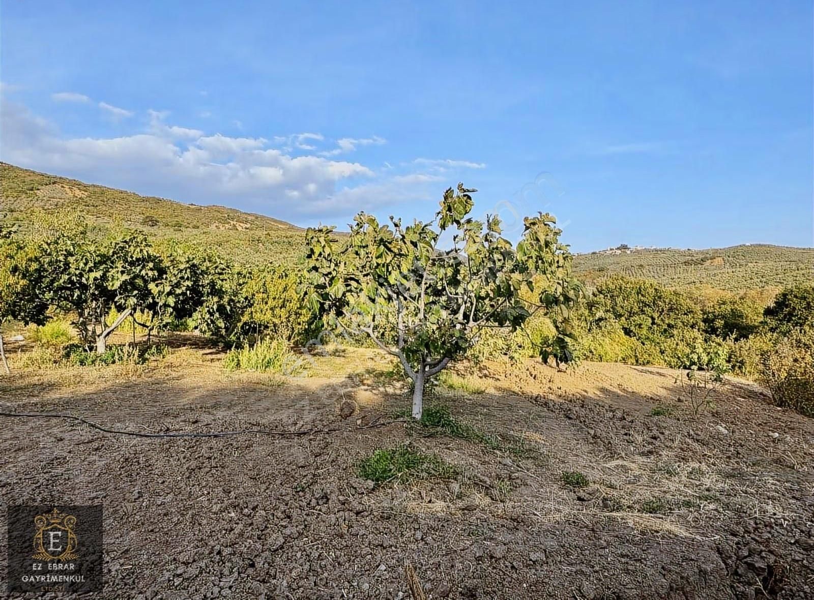 Mudanya Kaymakoba'da 560 M2 , Yatırımlık Arazi - Görsel 13