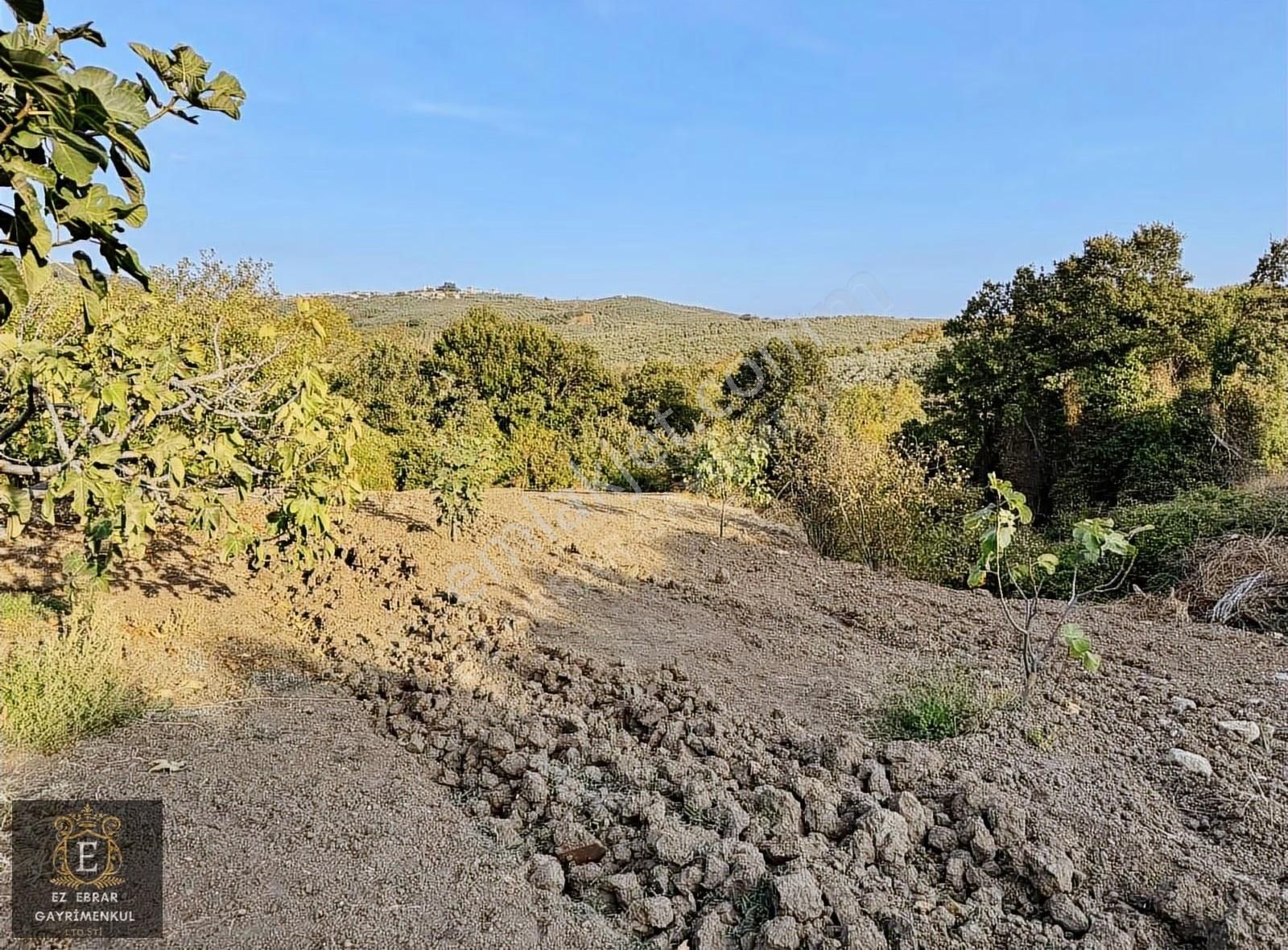 Mudanya Kaymakoba'da 560 M2 , Yatırımlık Arazi - Görsel 6