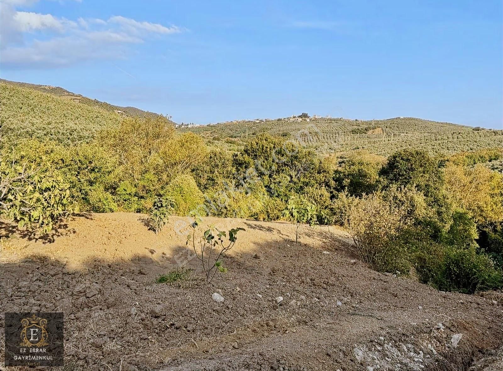 Mudanya Kaymakoba'da 560 M2 , Yatırımlık Arazi - Görsel 3