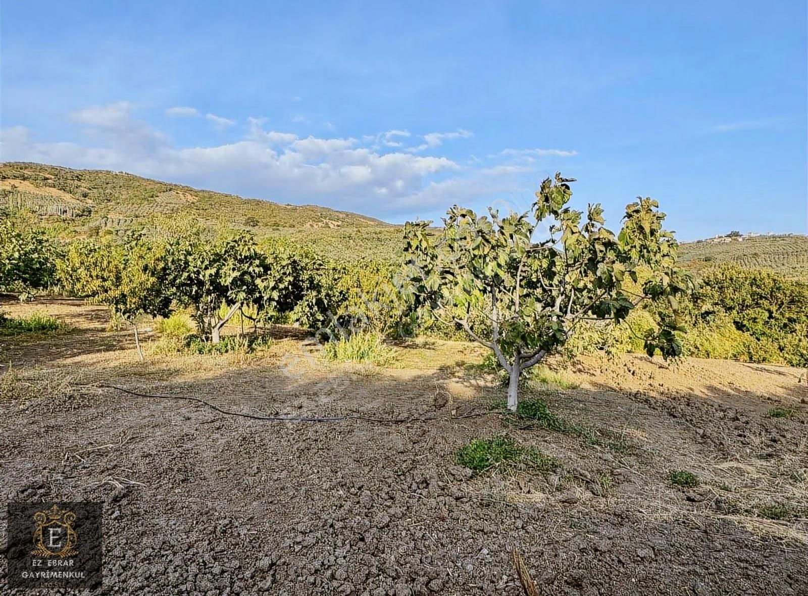 Mudanya Kaymakoba'da 560 M2 , Yatırımlık Arazi - Görsel 2