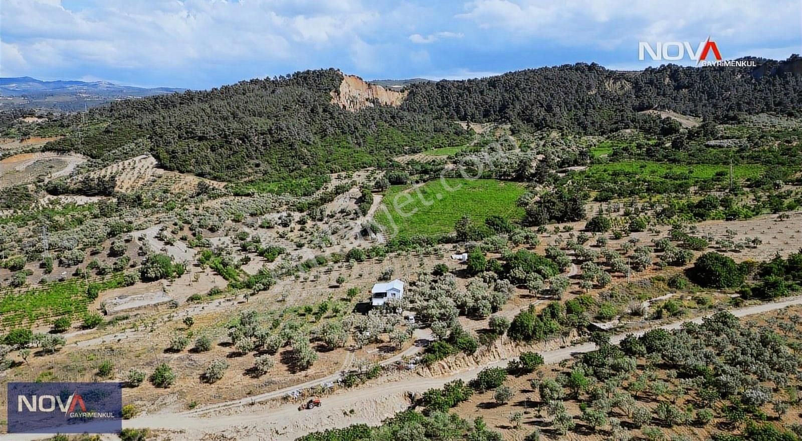 Nova'dan Kurudere Mahallesi'nde Satılık 1200 M2 Zeytinlik - Görsel 7