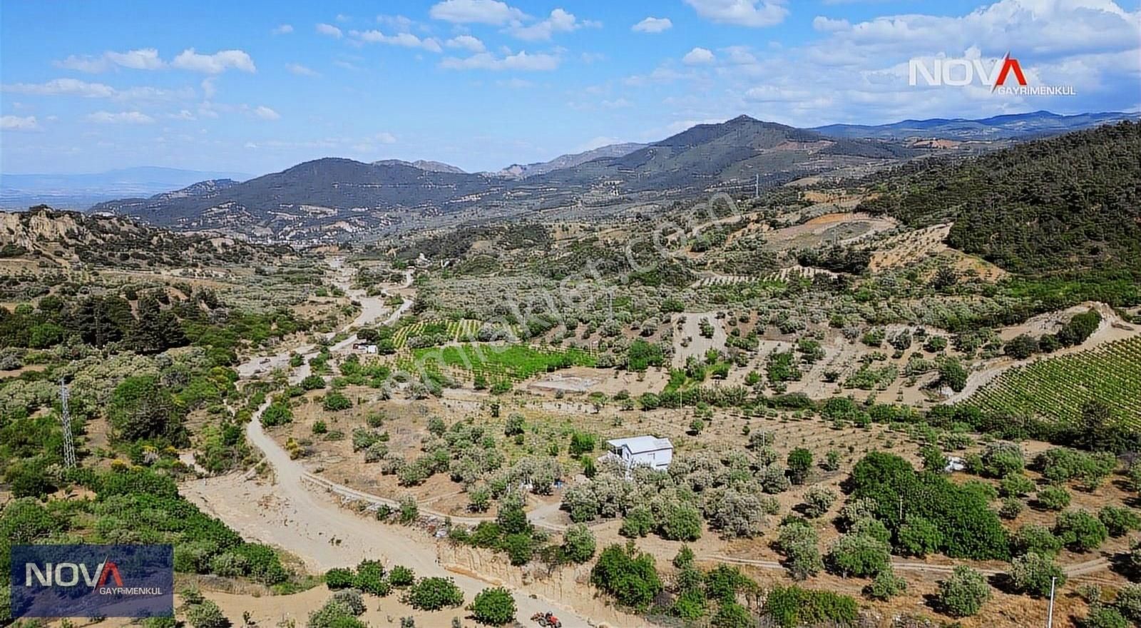 Nova'dan Kurudere Mahallesi'nde Satılık 1200 M2 Zeytinlik - Görsel 3