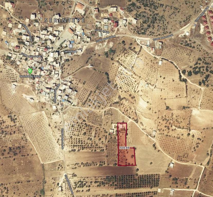 Millioğlu İnşaat'tan Serintepe'de Acil Satlık Bağevi Ve Arazi - Görsel 28