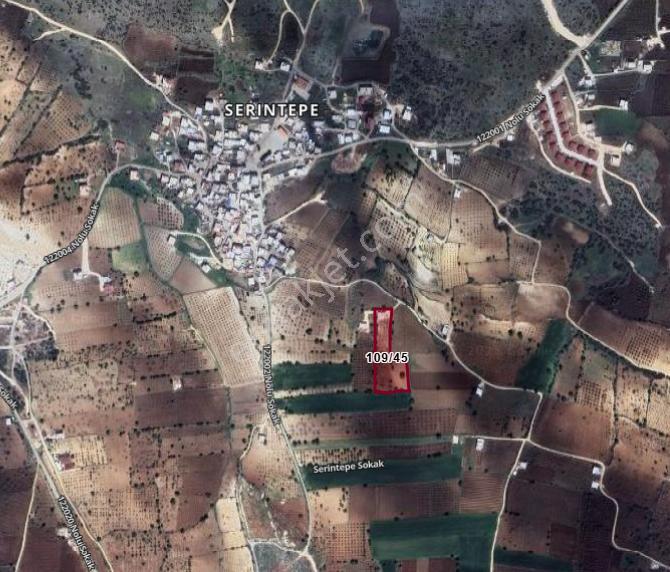 Millioğlu İnşaat'tan Serintepe'de Acil Satlık Bağevi Ve Arazi - Görsel 27
