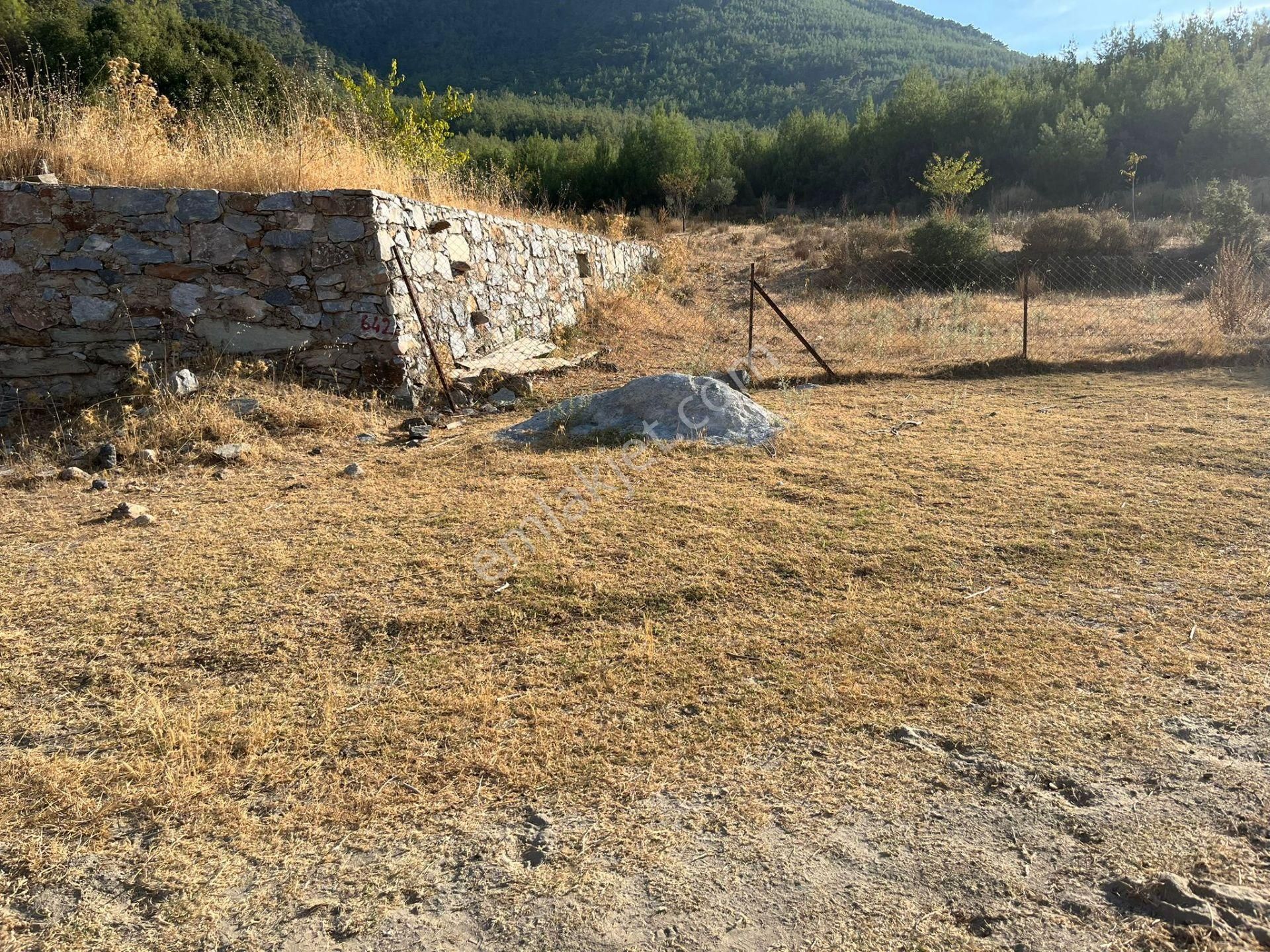 Ege’nin Huzurlu Doğasında, Milas Korucuk’ta Taş Ev Yapımına Uygun 2.158 M² Tarla - Görsel 10