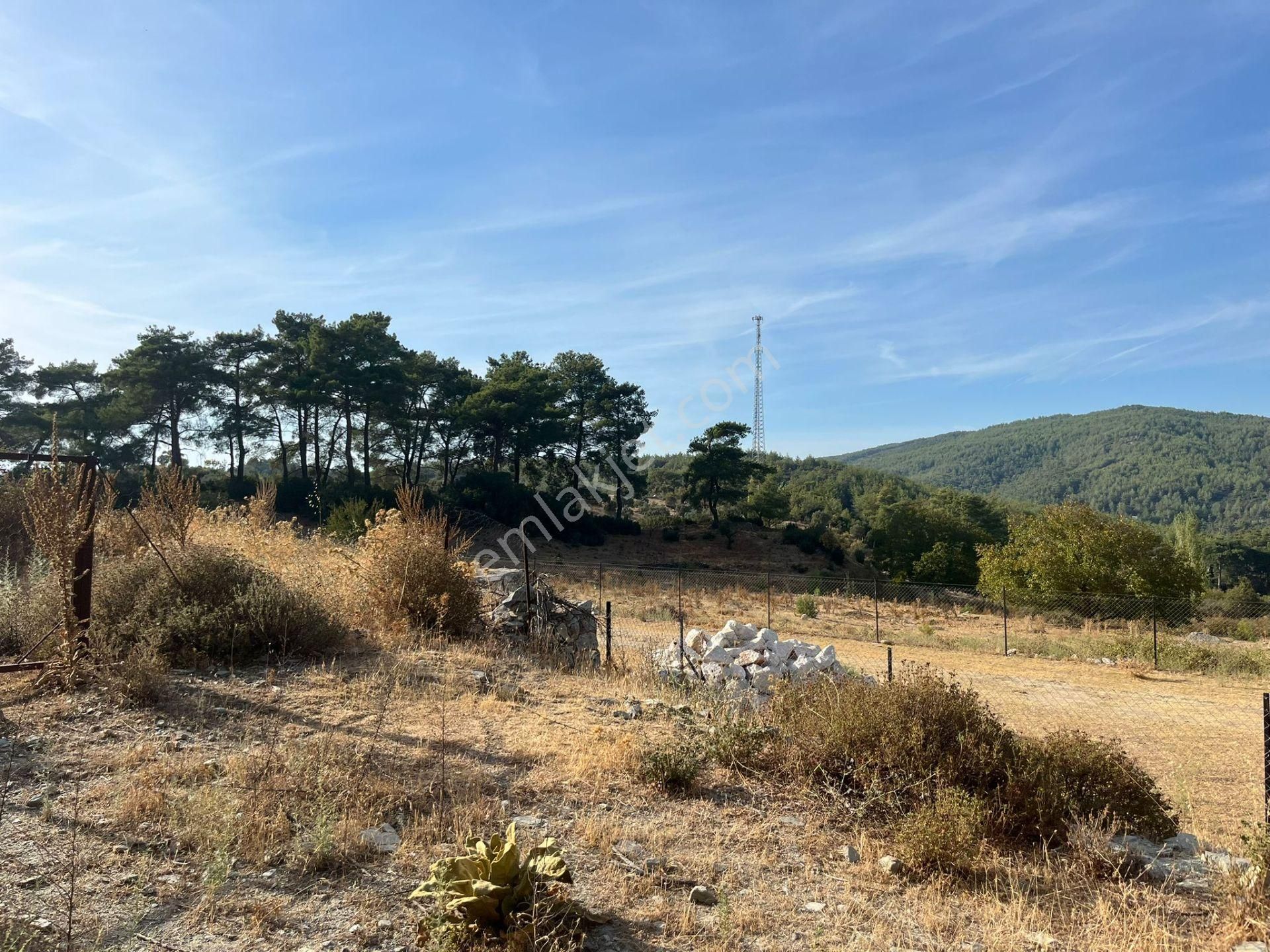 Ege’nin Huzurlu Doğasında, Milas Korucuk’ta Taş Ev Yapımına Uygun 2.158 M² Tarla - Görsel 9