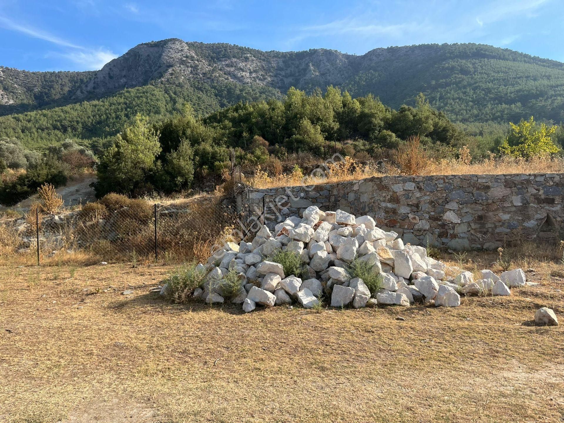 Ege’nin Huzurlu Doğasında, Milas Korucuk’ta Taş Ev Yapımına Uygun 2.158 M² Tarla - Görsel 13