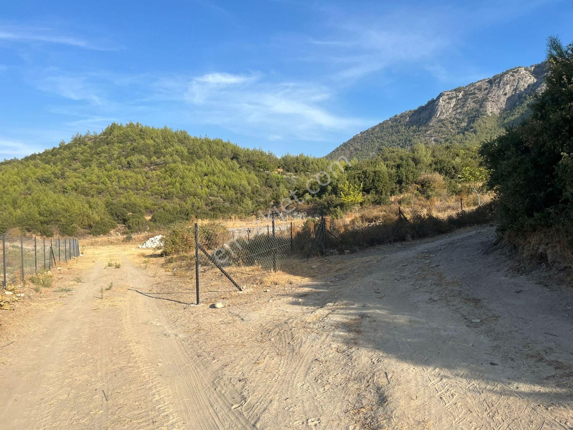 Ege’nin Huzurlu Doğasında, Milas Korucuk’ta Taş Ev Yapımına Uygun 2.158 M² Tarla - Görsel 2