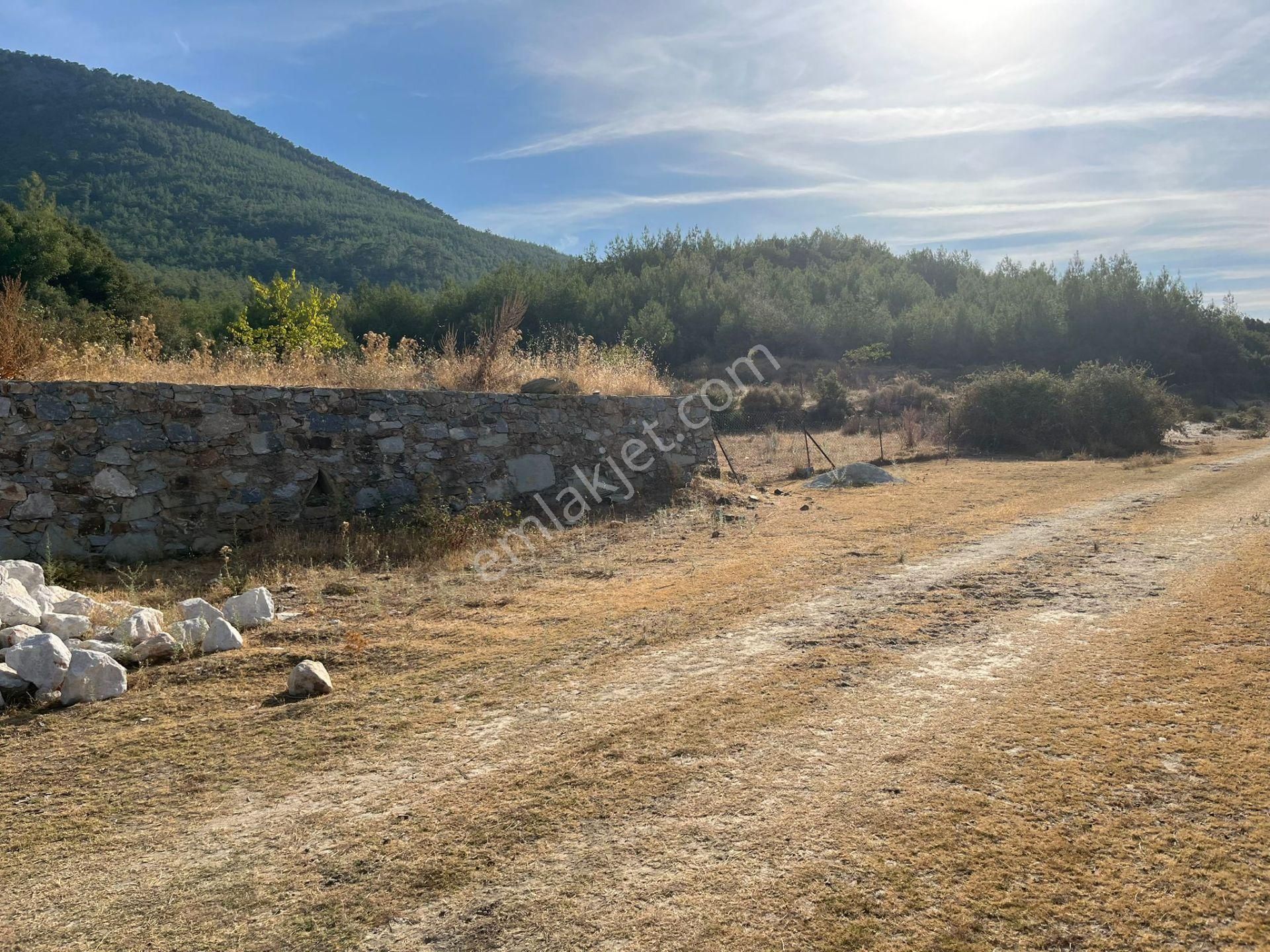 Ege’nin Huzurlu Doğasında, Milas Korucuk’ta Taş Ev Yapımına Uygun 2.158 M² Tarla - Görsel 12