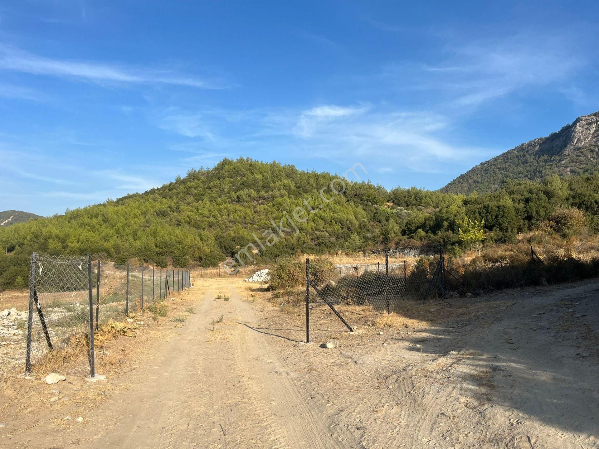 Ege’nin Huzurlu Doğasında, Milas Korucuk’ta Taş Ev Yapımına Uygun 2.158 M² Tarla