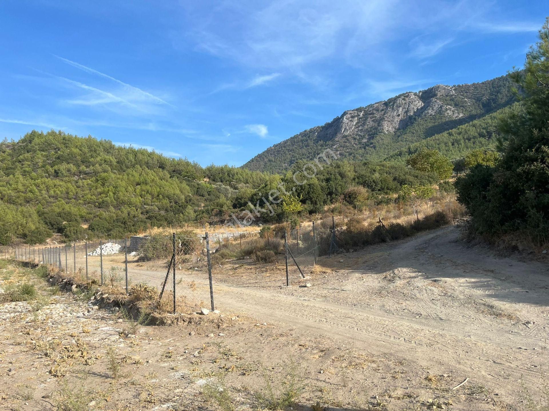 Ege’nin Huzurlu Doğasında, Milas Korucuk’ta Taş Ev Yapımına Uygun 2.158 M² Tarla - Görsel 19