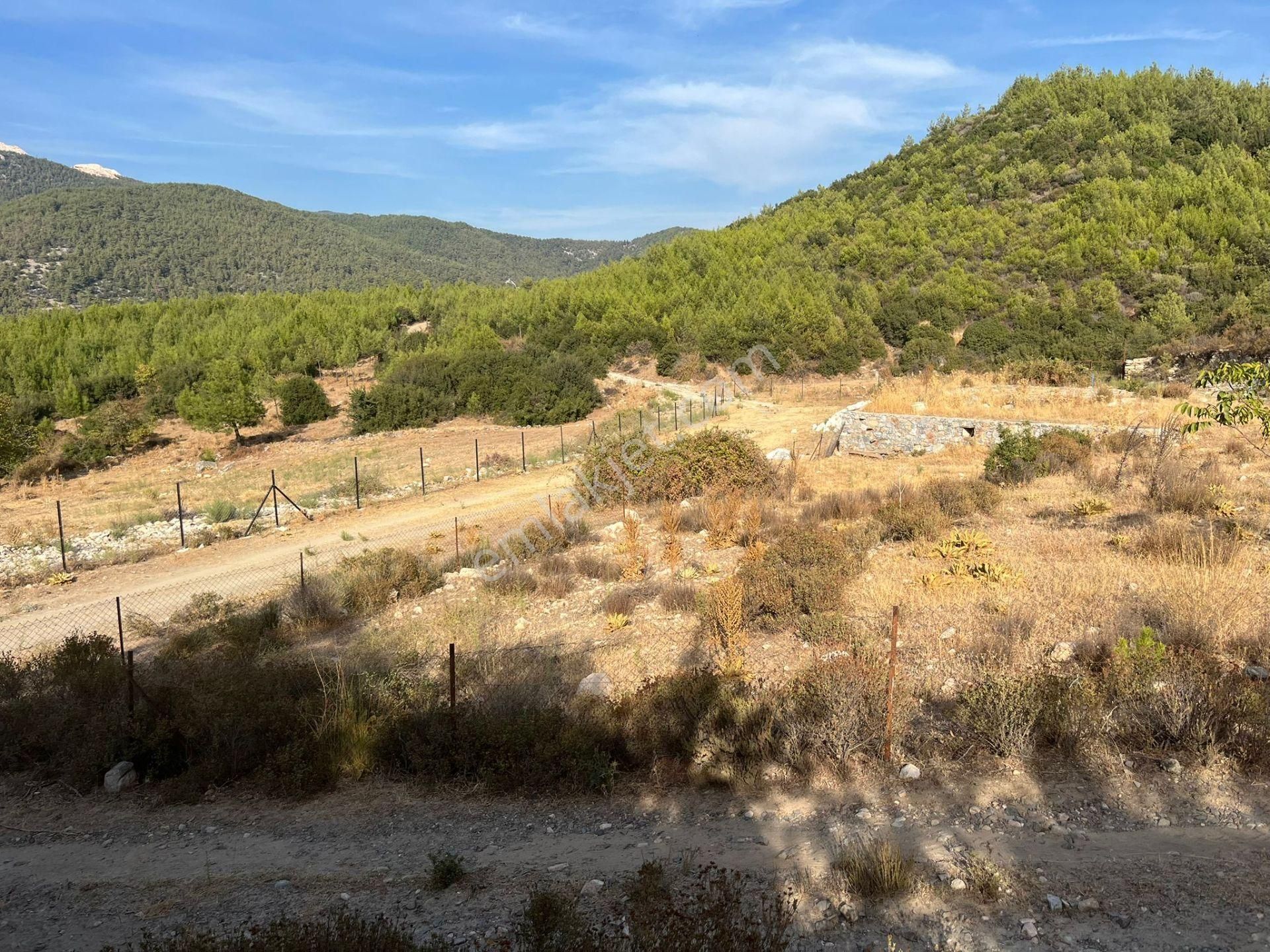 Ege’nin Huzurlu Doğasında, Milas Korucuk’ta Taş Ev Yapımına Uygun 2.158 M² Tarla - Görsel 21