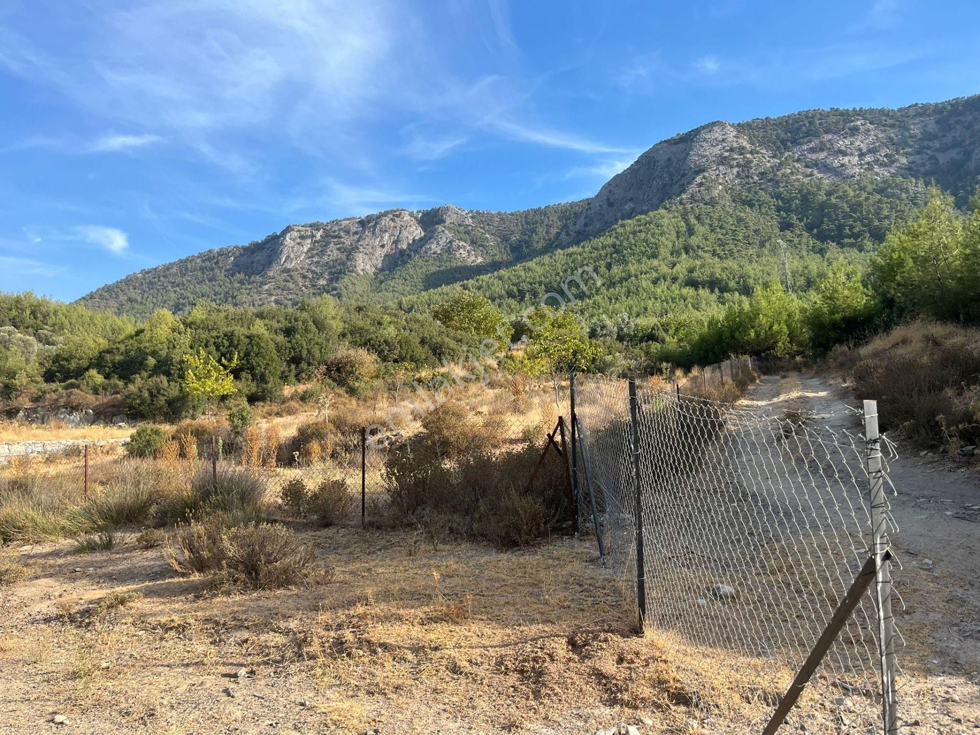 Ege’nin Huzurlu Doğasında, Milas Korucuk’ta Taş Ev Yapımına Uygun 2.158 M² Tarla - Görsel 22