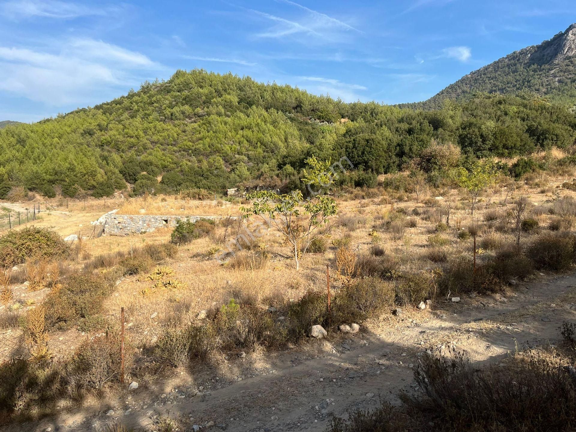Ege’nin Huzurlu Doğasında, Milas Korucuk’ta Taş Ev Yapımına Uygun 2.158 M² Tarla - Görsel 28