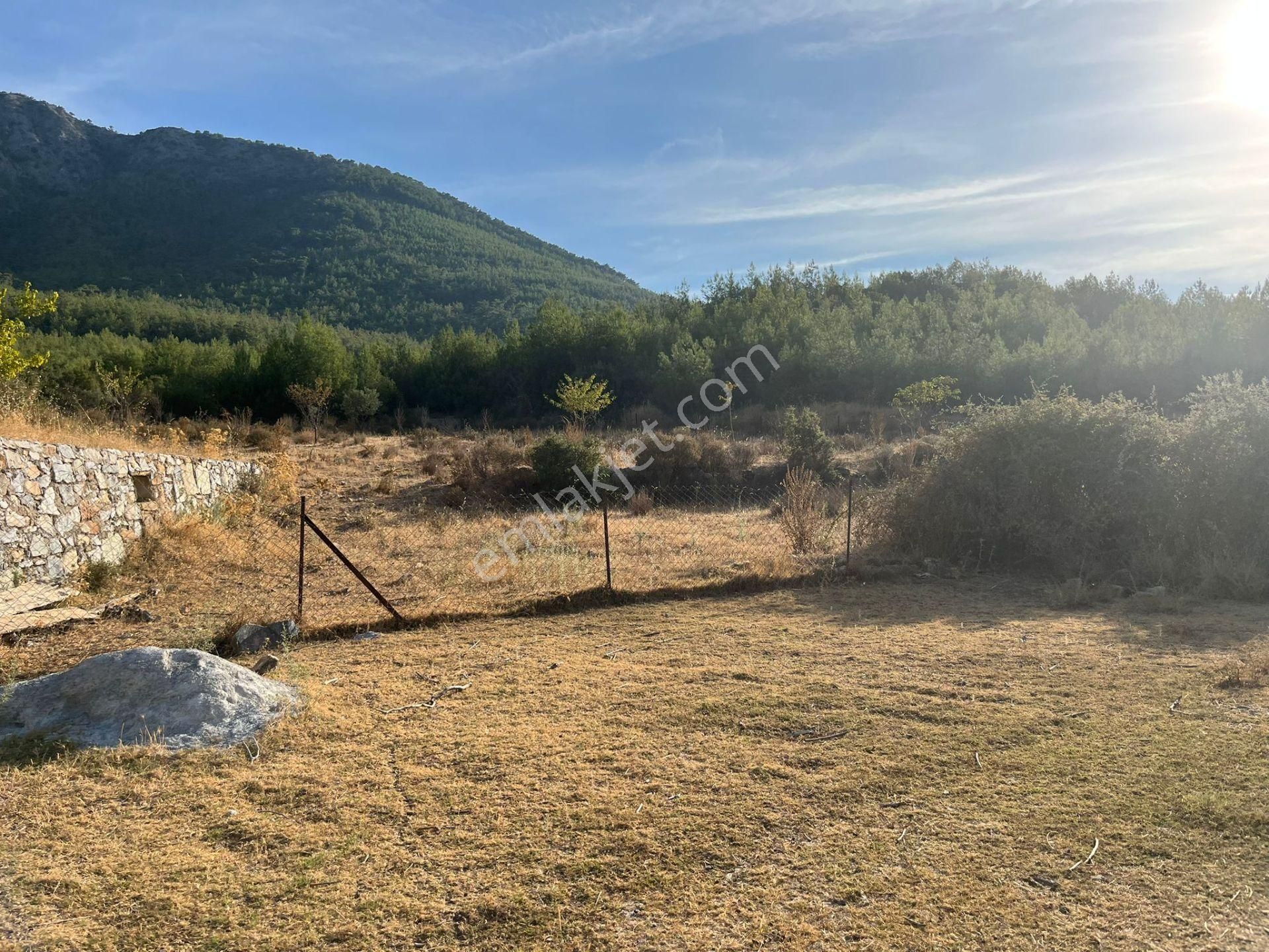 Ege’nin Huzurlu Doğasında, Milas Korucuk’ta Taş Ev Yapımına Uygun 2.158 M² Tarla - Görsel 3