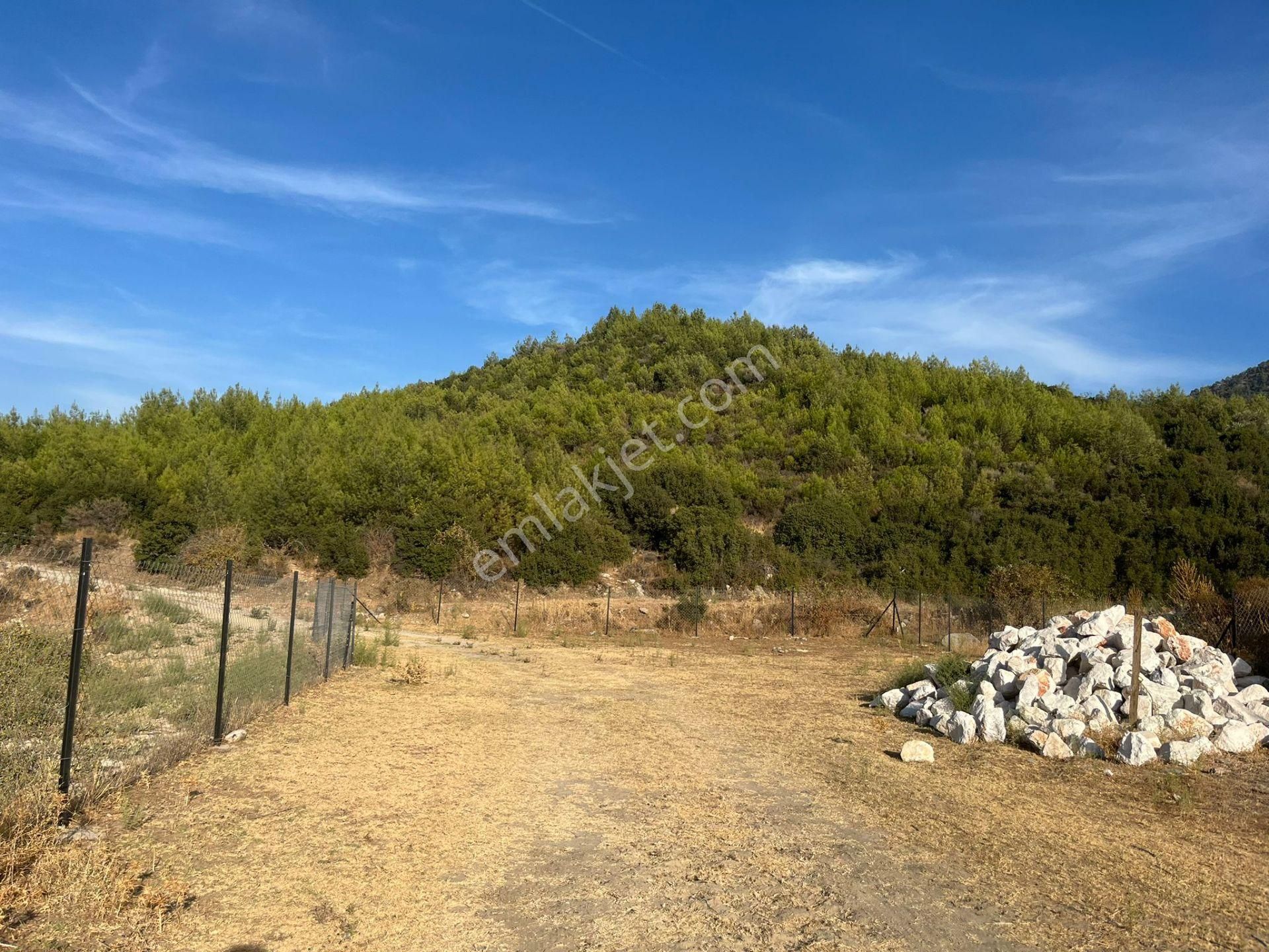 Ege’nin Huzurlu Doğasında, Milas Korucuk’ta Taş Ev Yapımına Uygun 2.158 M² Tarla - Görsel 4