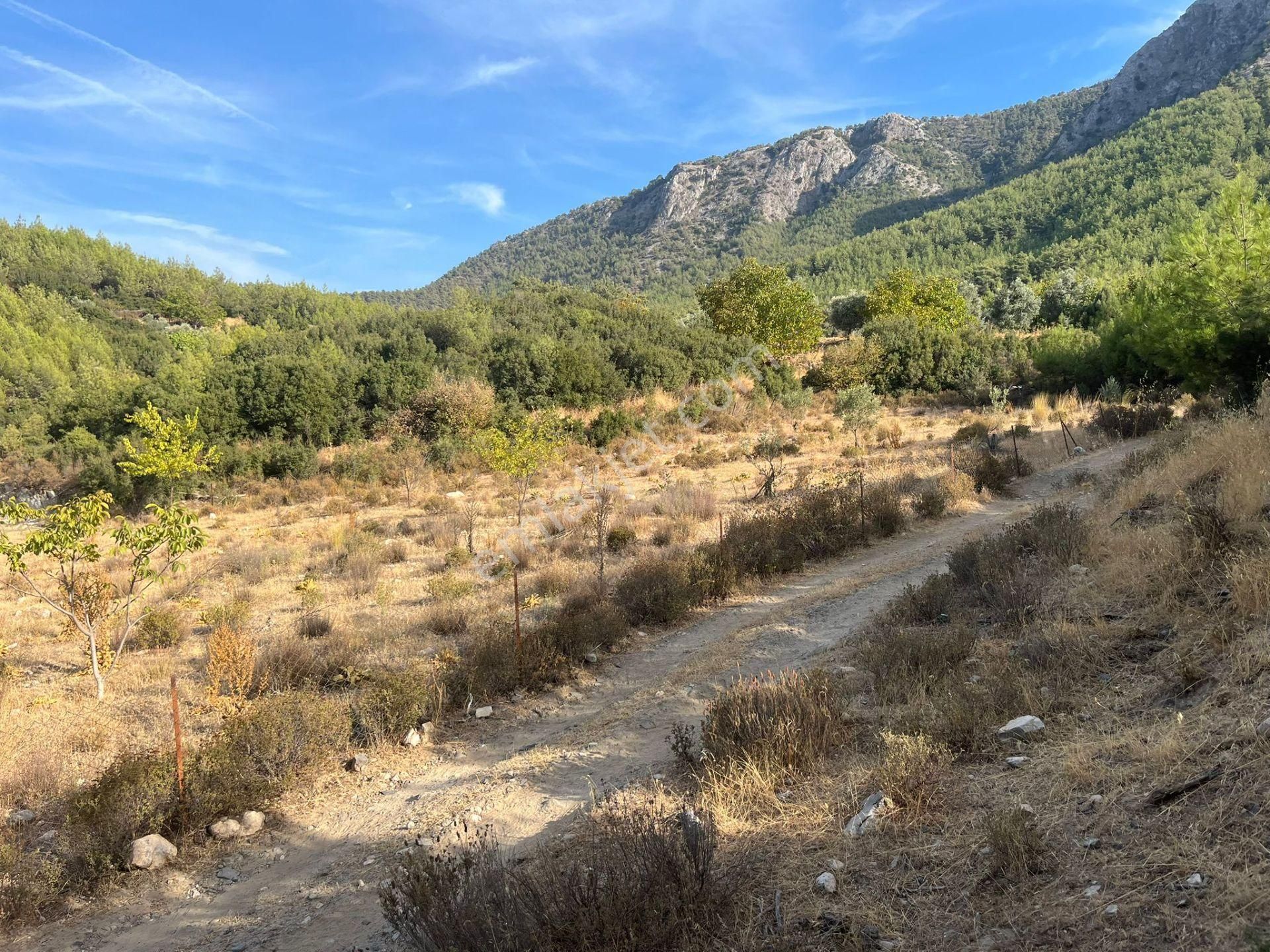 Ege’nin Huzurlu Doğasında, Milas Korucuk’ta Taş Ev Yapımına Uygun 2.158 M² Tarla - Görsel 23
