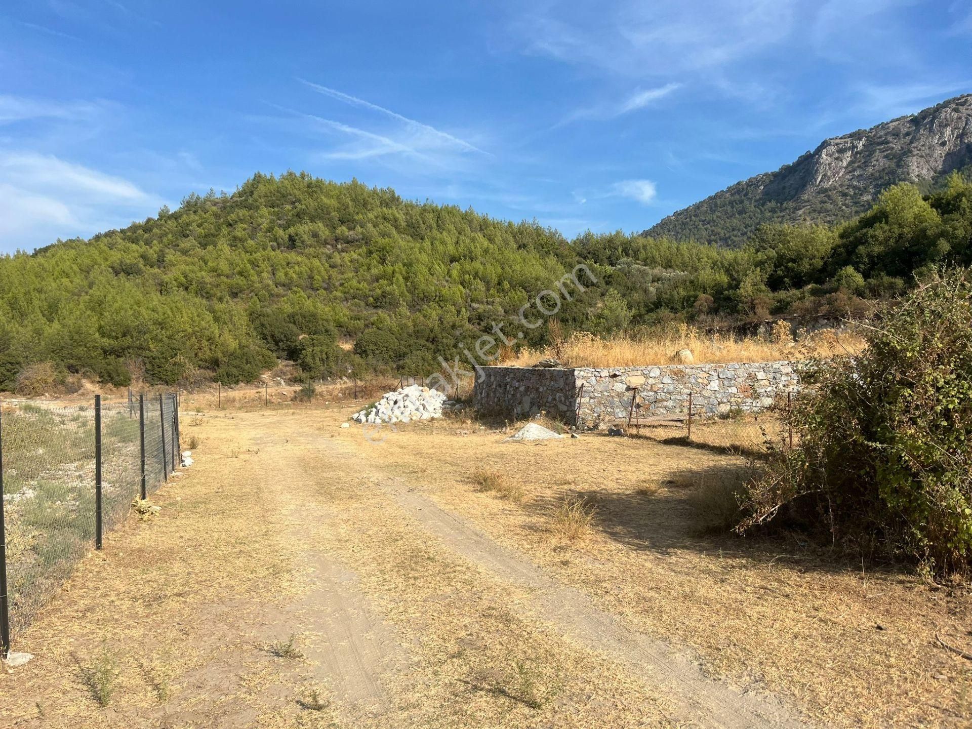Ege’nin Huzurlu Doğasında, Milas Korucuk’ta Taş Ev Yapımına Uygun 2.158 M² Tarla - Görsel 17