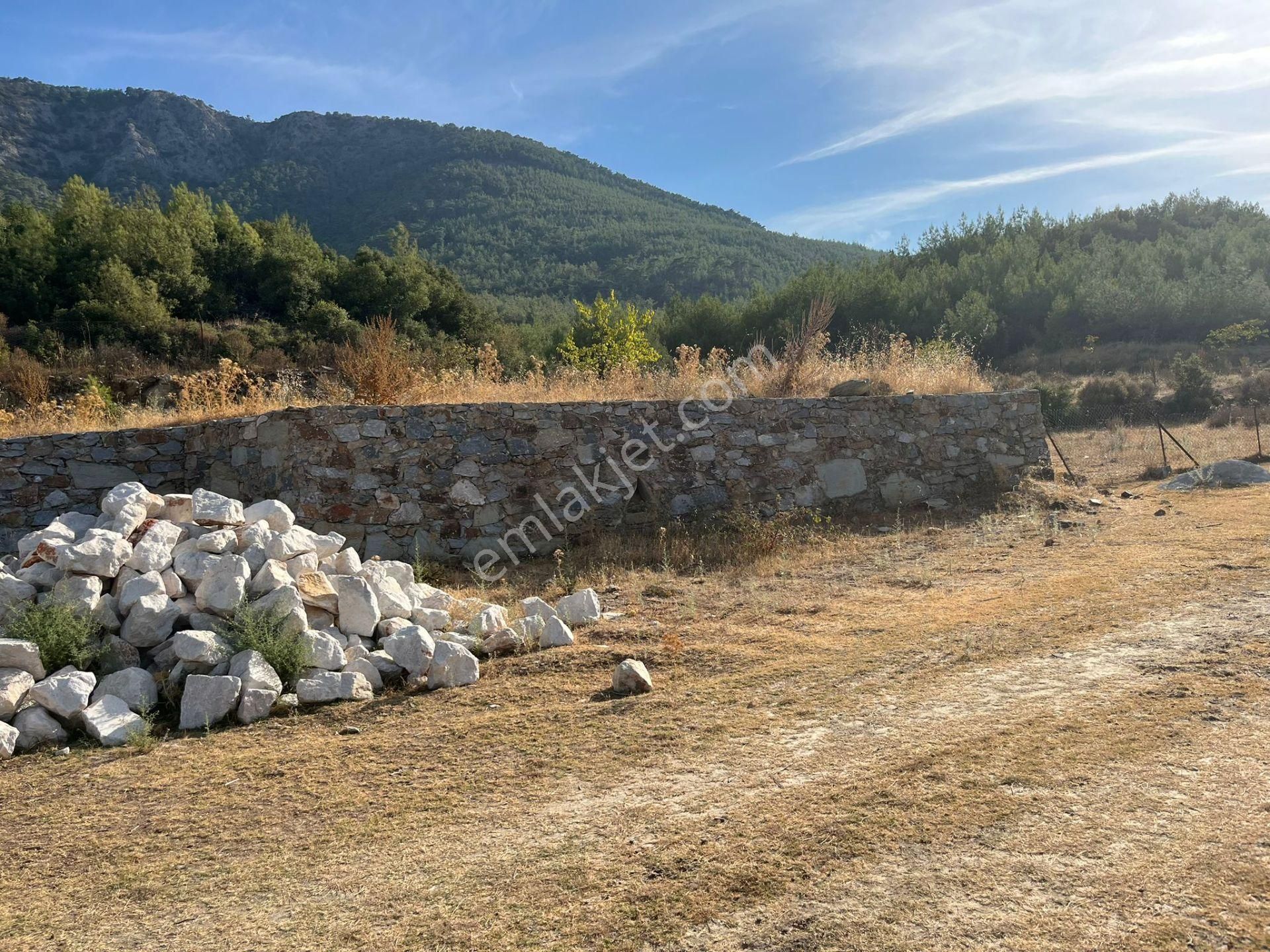 Ege’nin Huzurlu Doğasında, Milas Korucuk’ta Taş Ev Yapımına Uygun 2.158 M² Tarla - Görsel 14