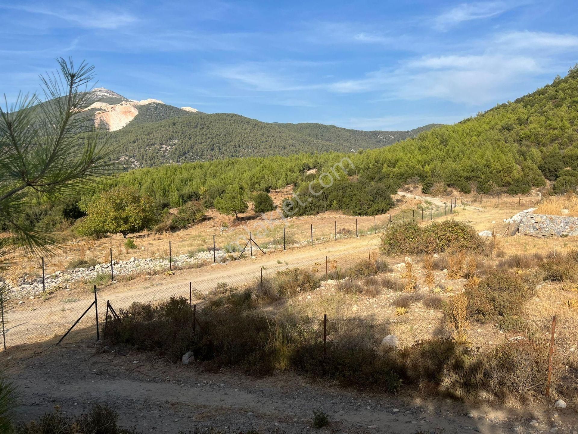 Ege’nin Huzurlu Doğasında, Milas Korucuk’ta Taş Ev Yapımına Uygun 2.158 M² Tarla - Görsel 20