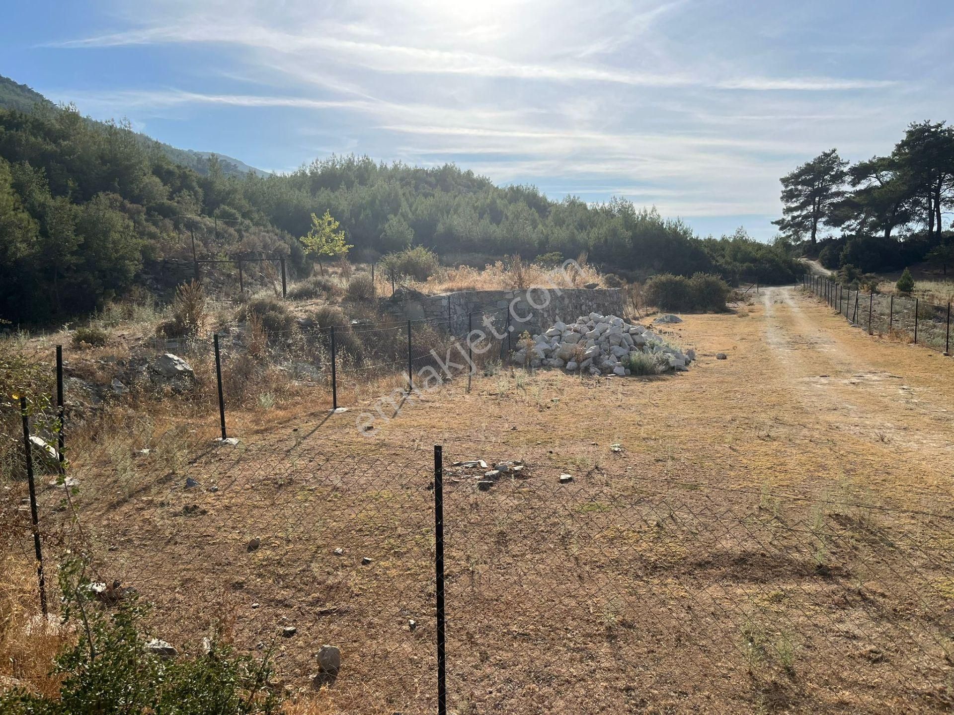 Ege’nin Huzurlu Doğasında, Milas Korucuk’ta Taş Ev Yapımına Uygun 2.158 M² Tarla - Görsel 11