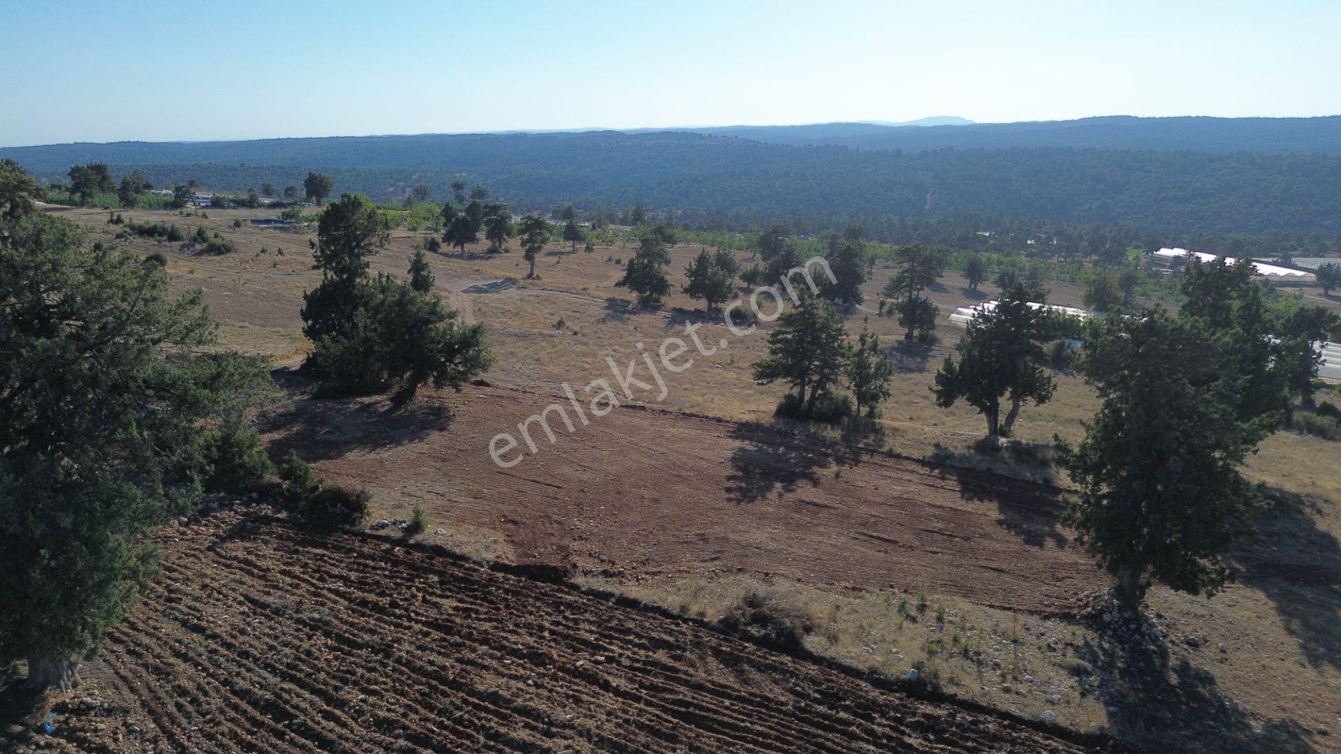 Sarıkaya Da Villa İmarlı 950 M2 Arsa - Görsel 18